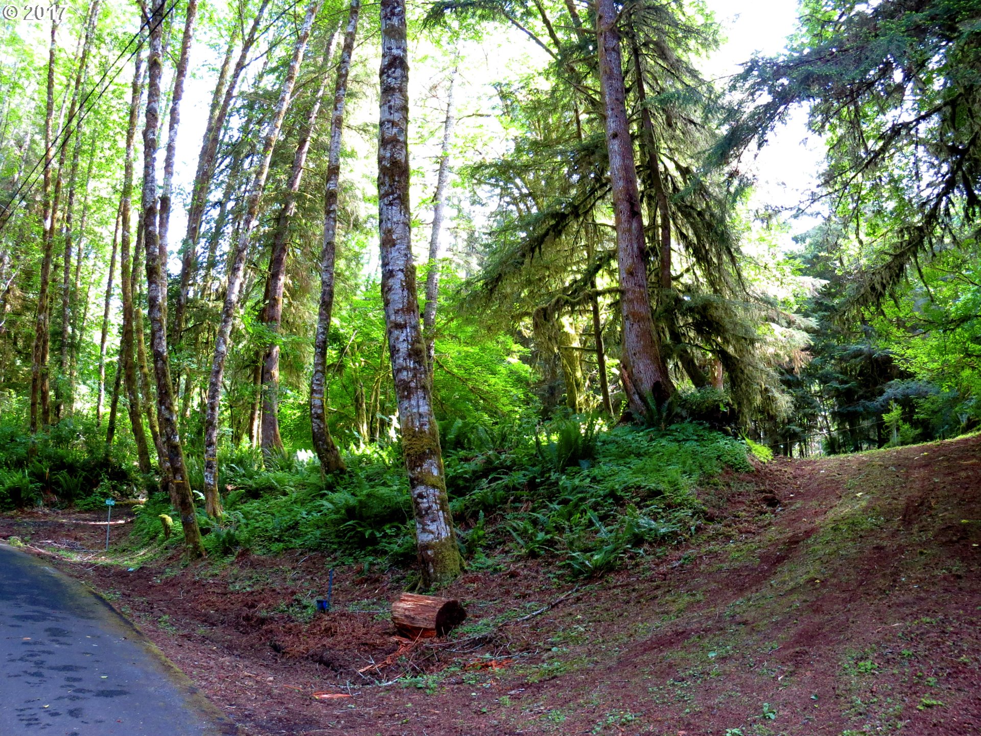 10190 RIDGE VIEW TER, BIRKENFELD, OR 97016