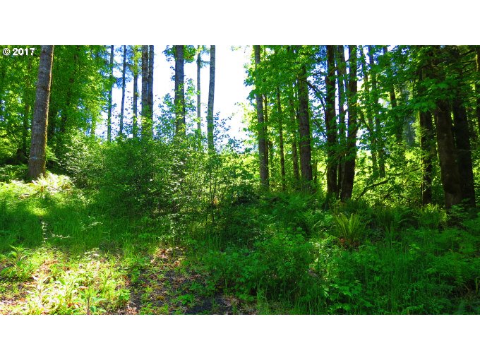 FISHHAWK RD, BIRKENFELD, OR 97016
