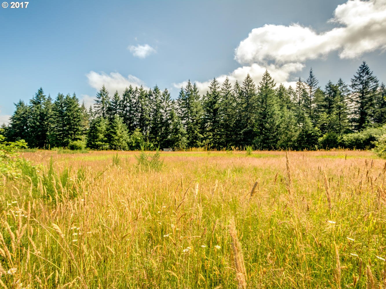 brush prairie Real Estate Homes For Sale