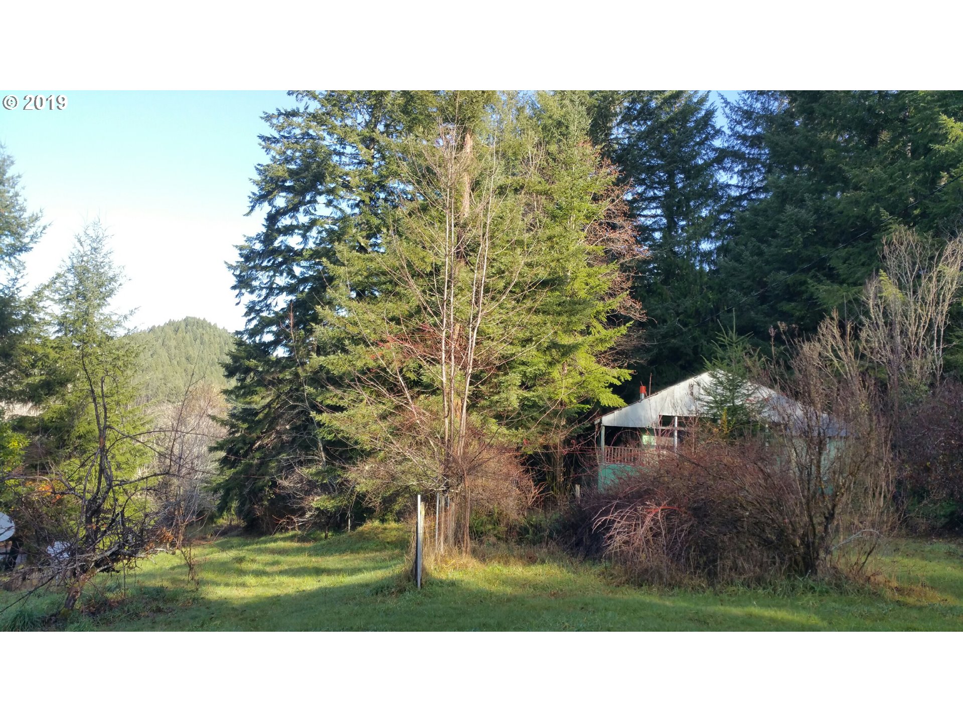 90970 NELSON MOUNTAIN RD (1 of 12)