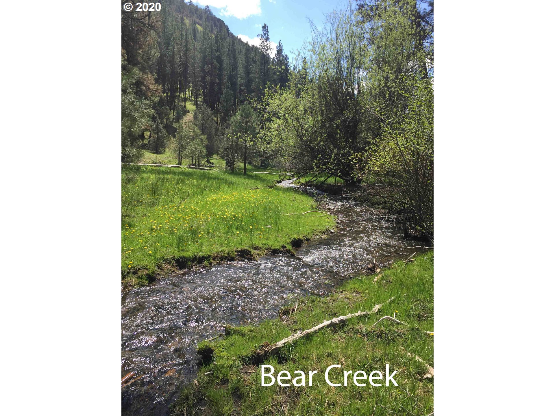  Bear Creek Elk (1 of 31)
