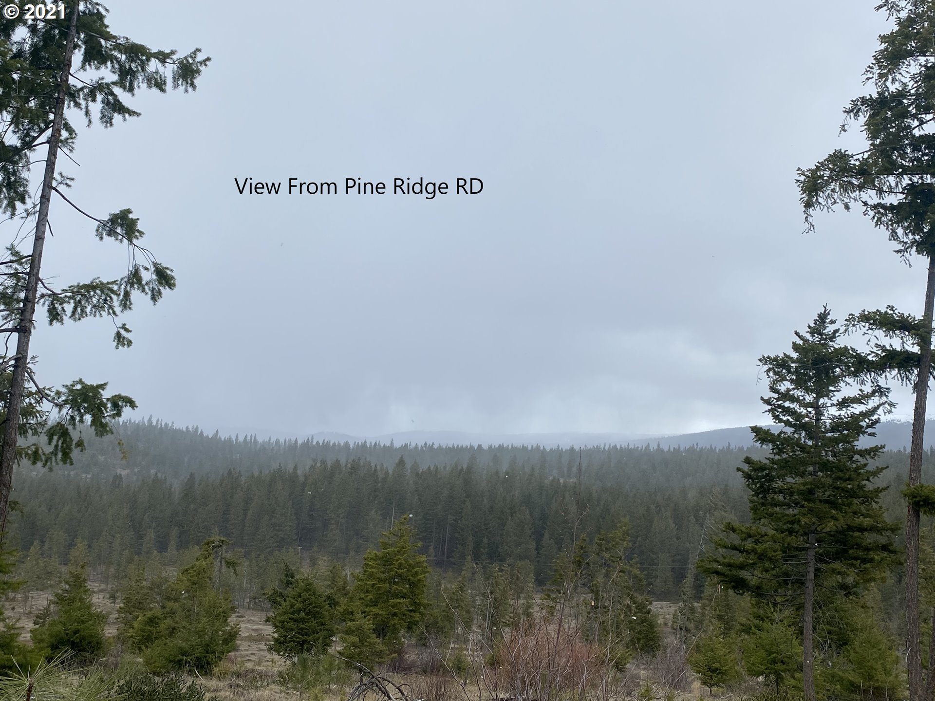 39 Pine Ridge (1 of 8)