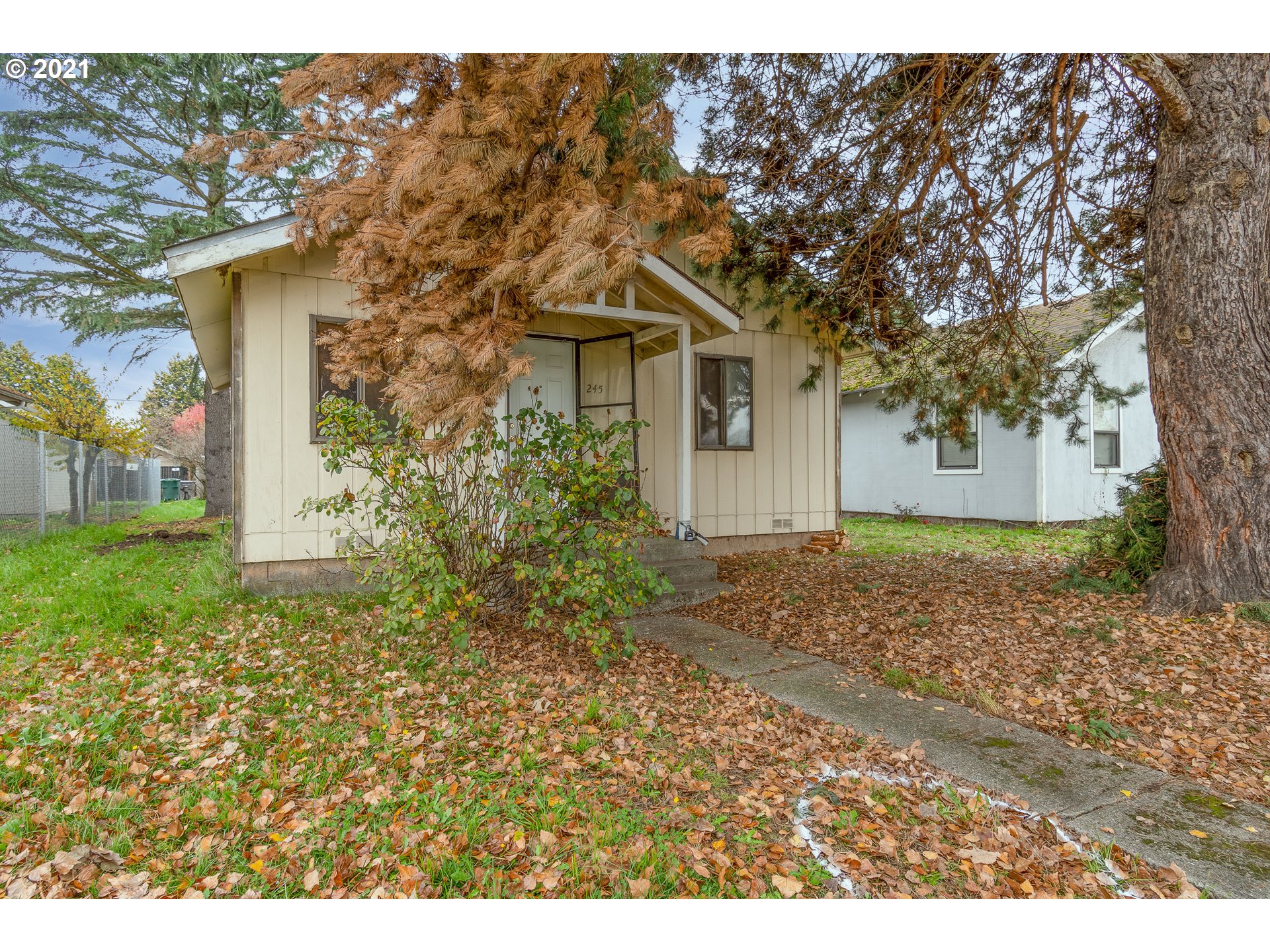 245 22ND AVE (1 of 20)