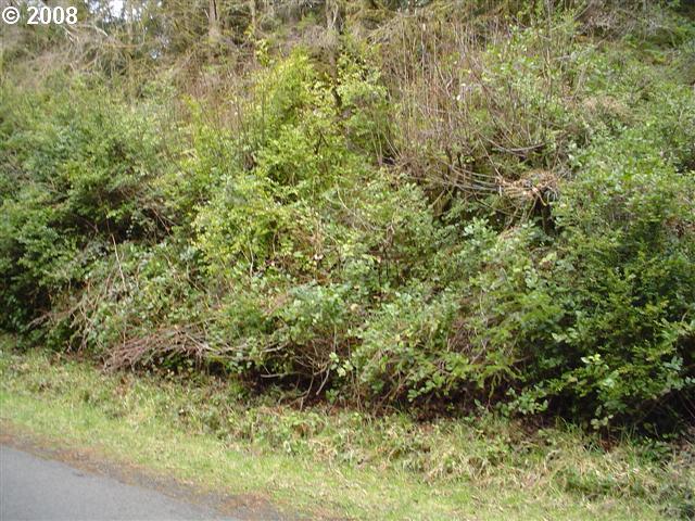 Photo of WALKABOUT COVE Lot 4