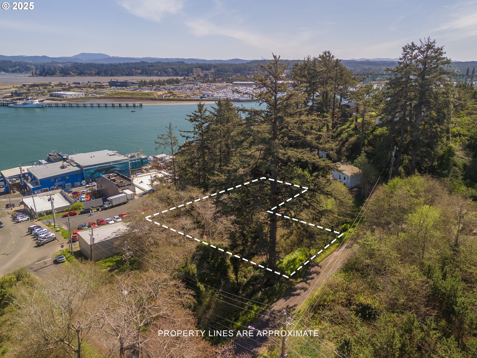 Search Homes for Sale