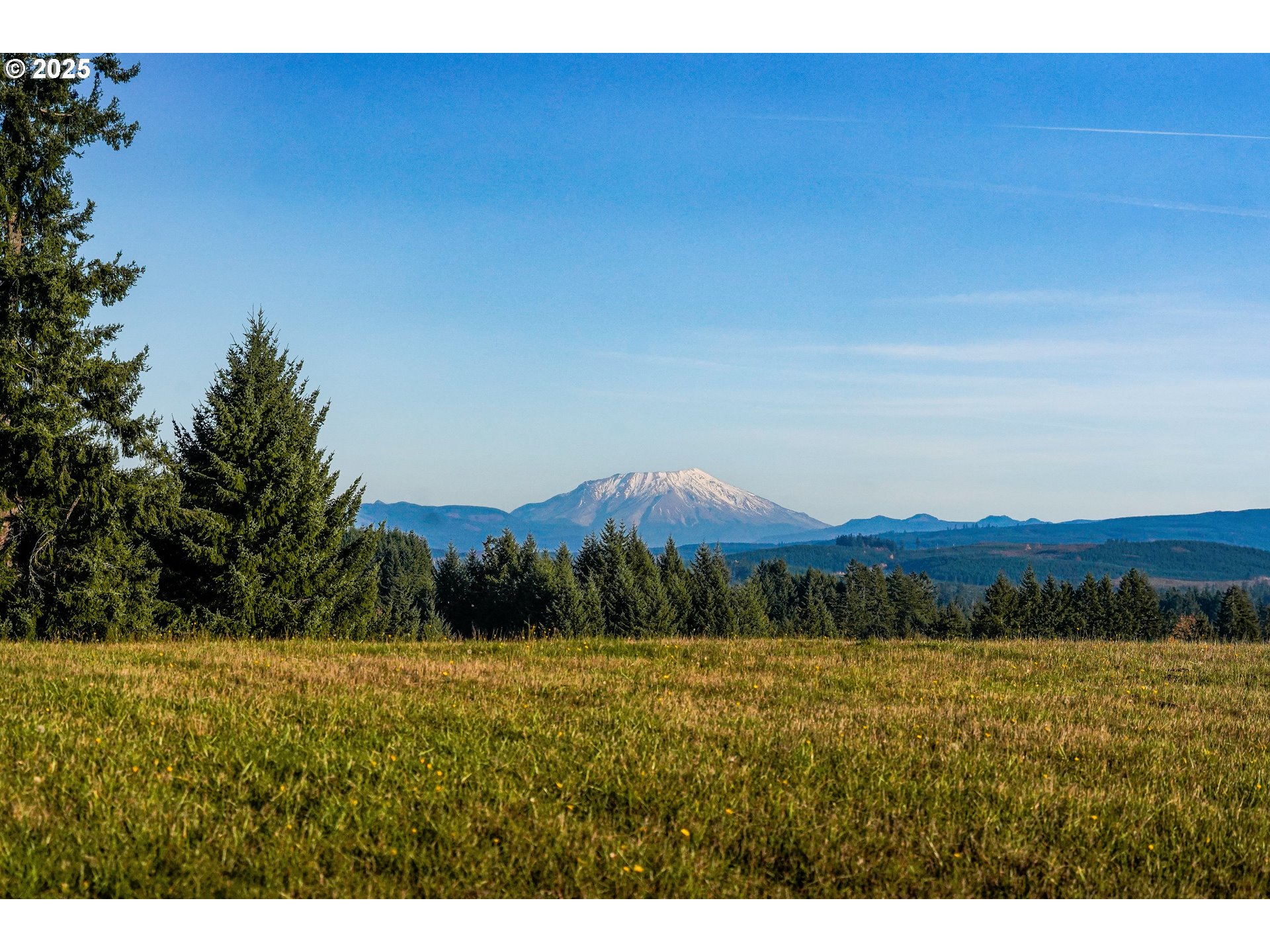 Search Homes for Sale