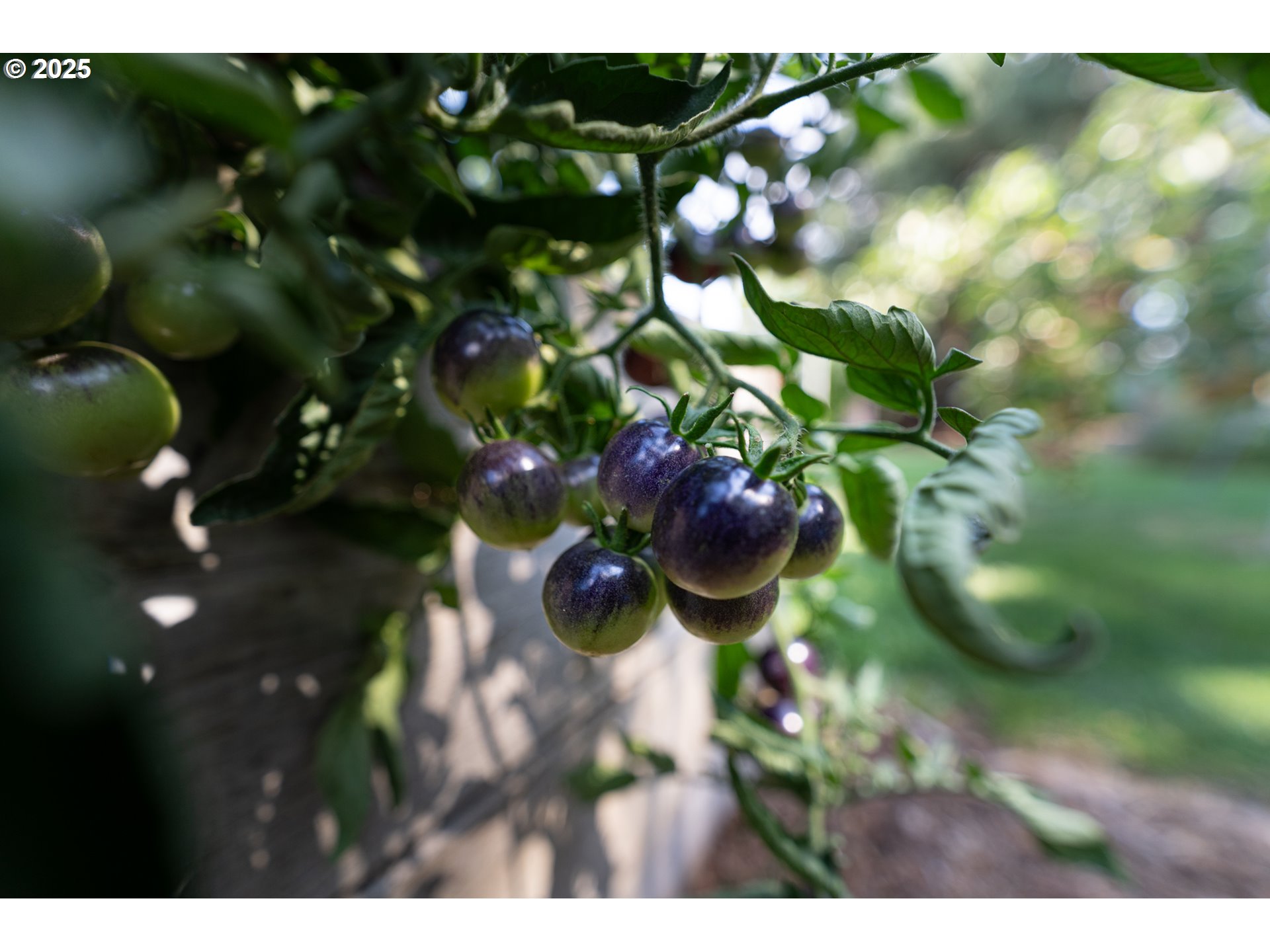 1108 N HADLEY RD, Newberg, OR, 97132