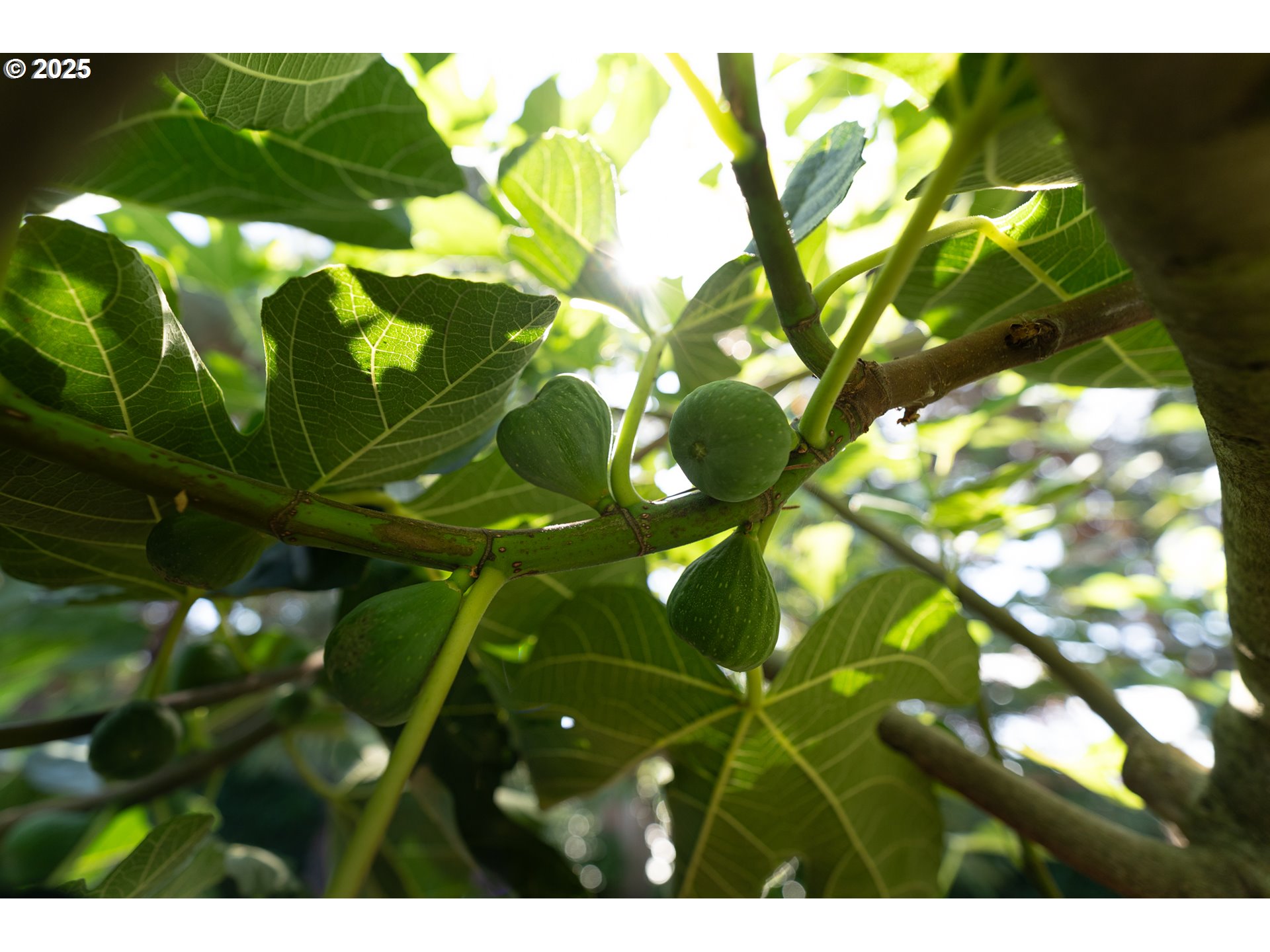 1108 N HADLEY RD, Newberg, OR, 97132