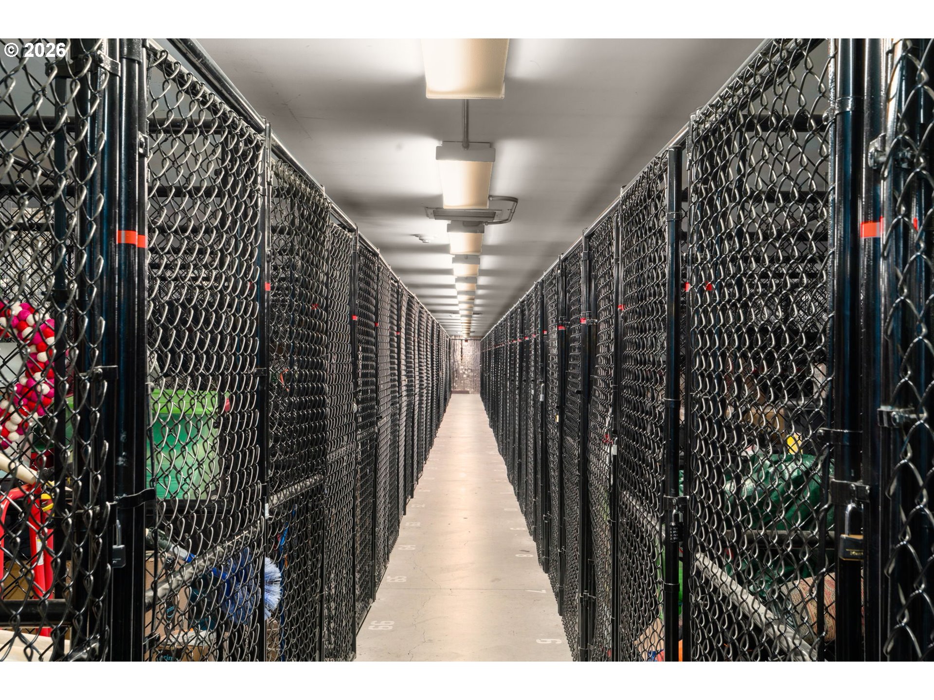 Photo #20: 102324754 Listing: Photo #20