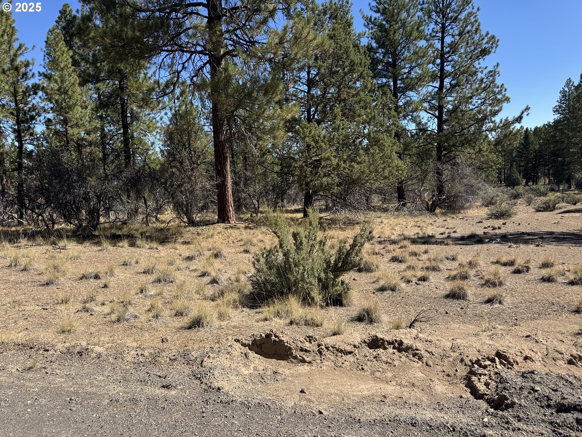 32818 JEAN ST, Chiloquin, OR, 97624