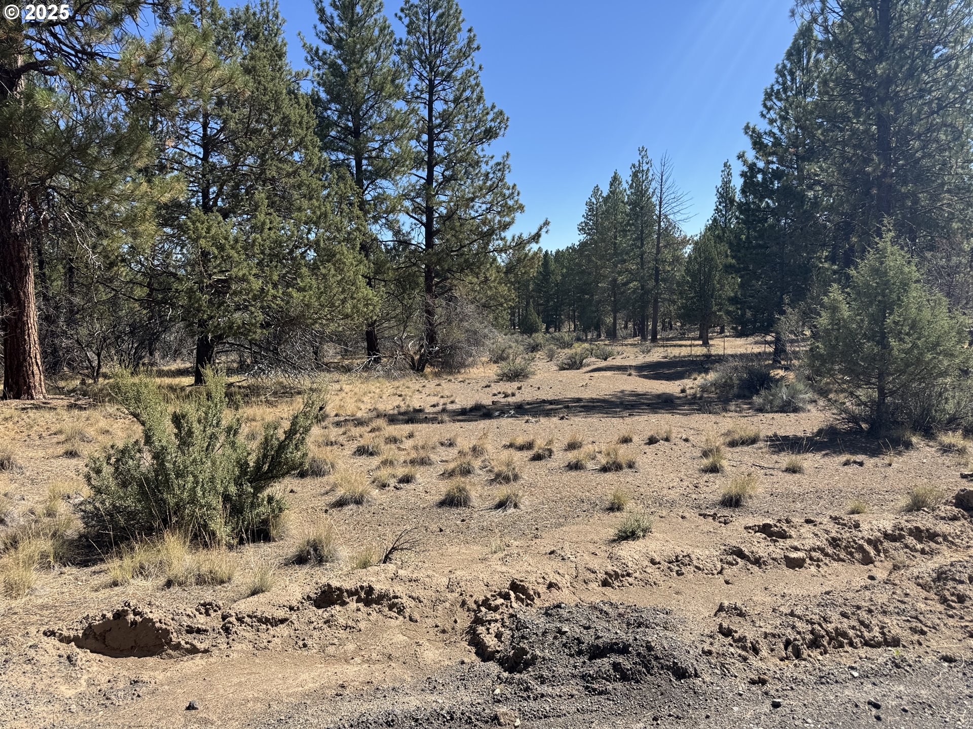 32818 JEAN ST, Chiloquin, OR, 97624