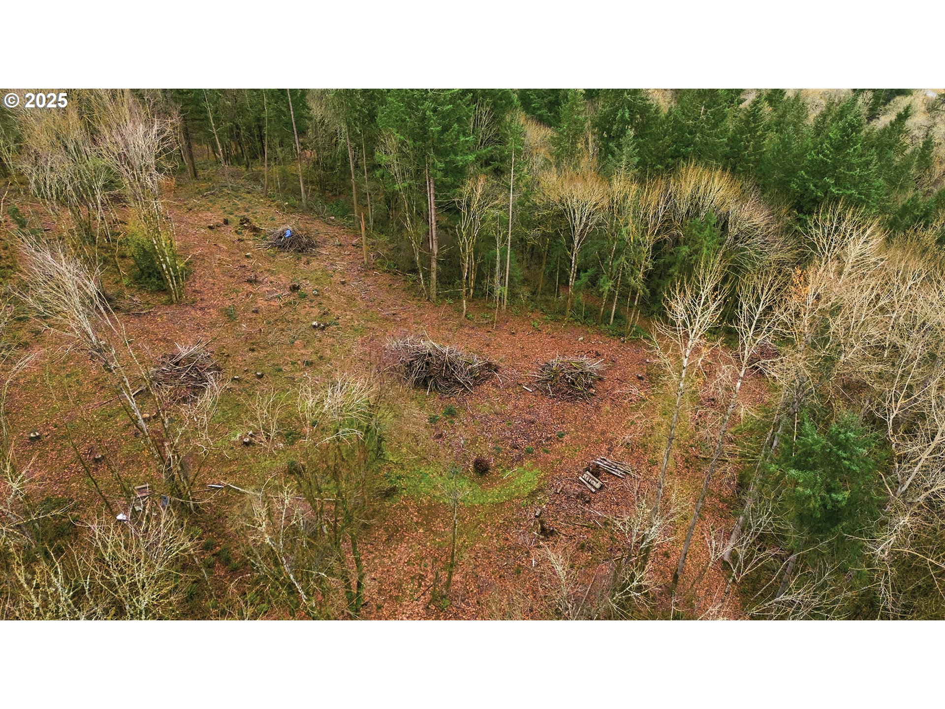 14255 S ST FRANCIS WAY, Mulino, OR, 97042