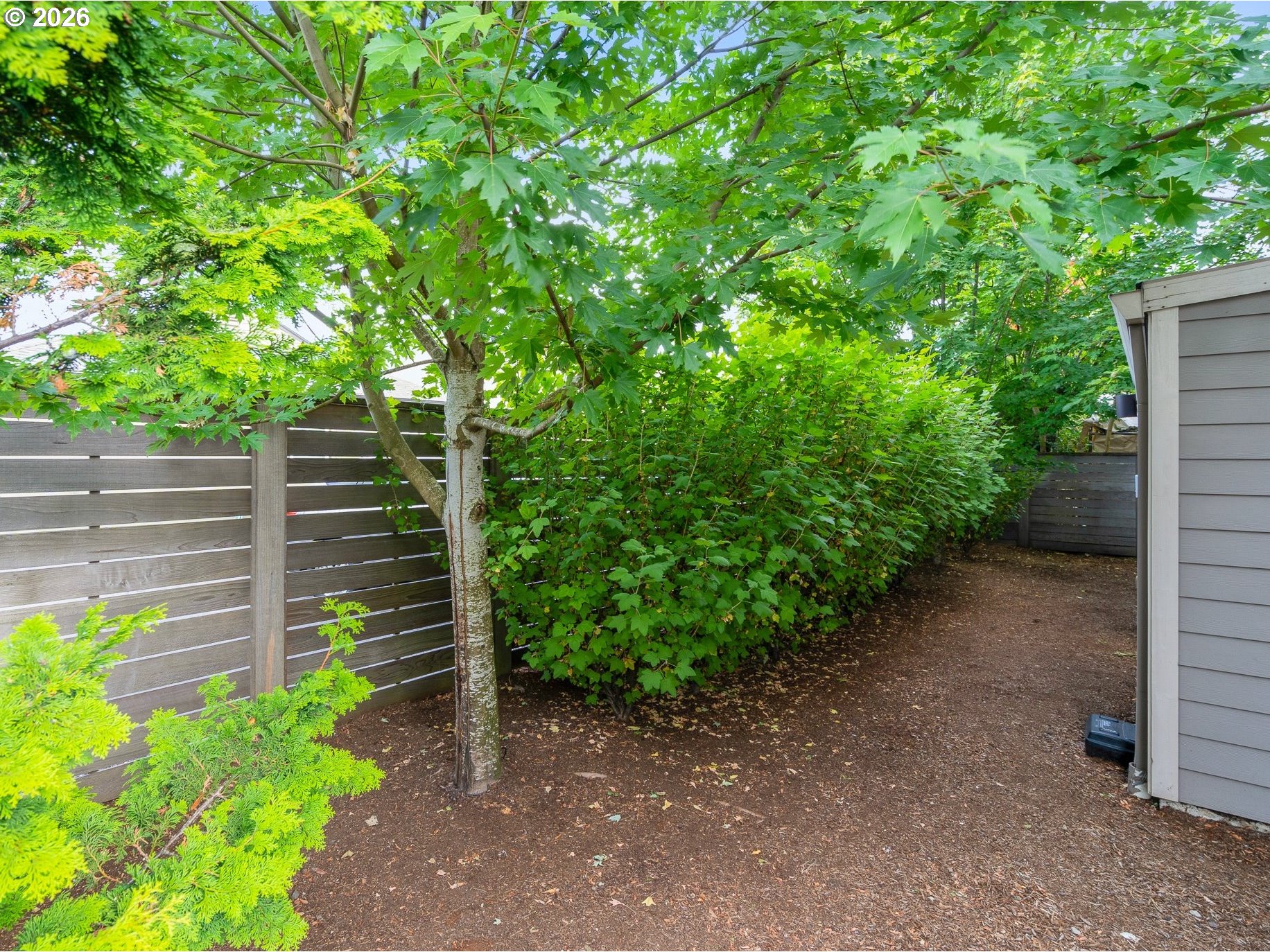 Photo #21: 105340994 Listing: Photo #21