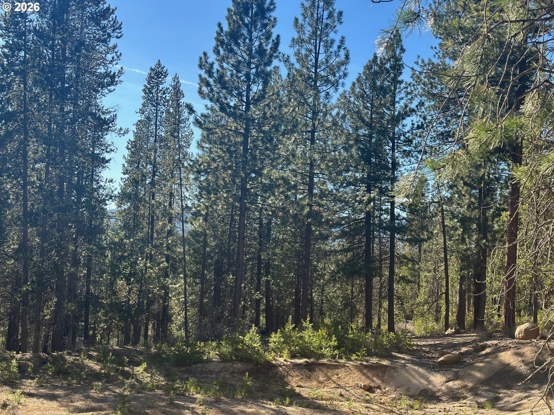 Search Homes for Sale