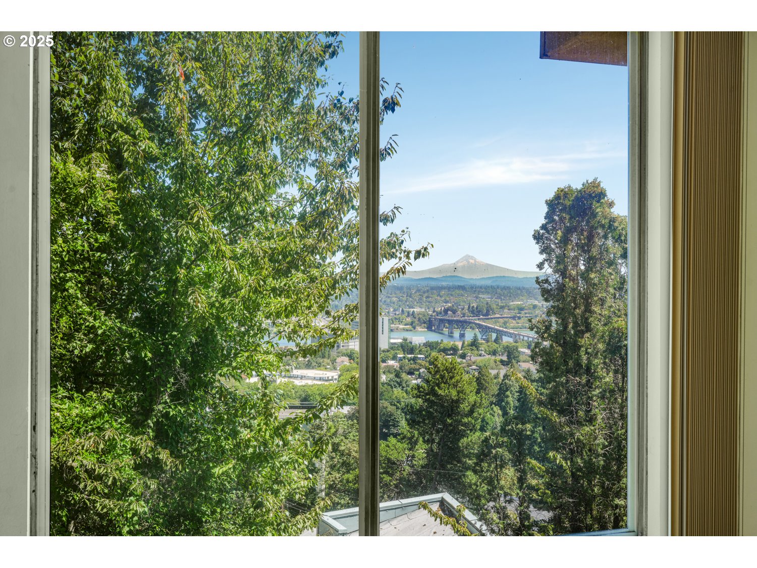 Photo #19: 107145302 Listing: Photo #19