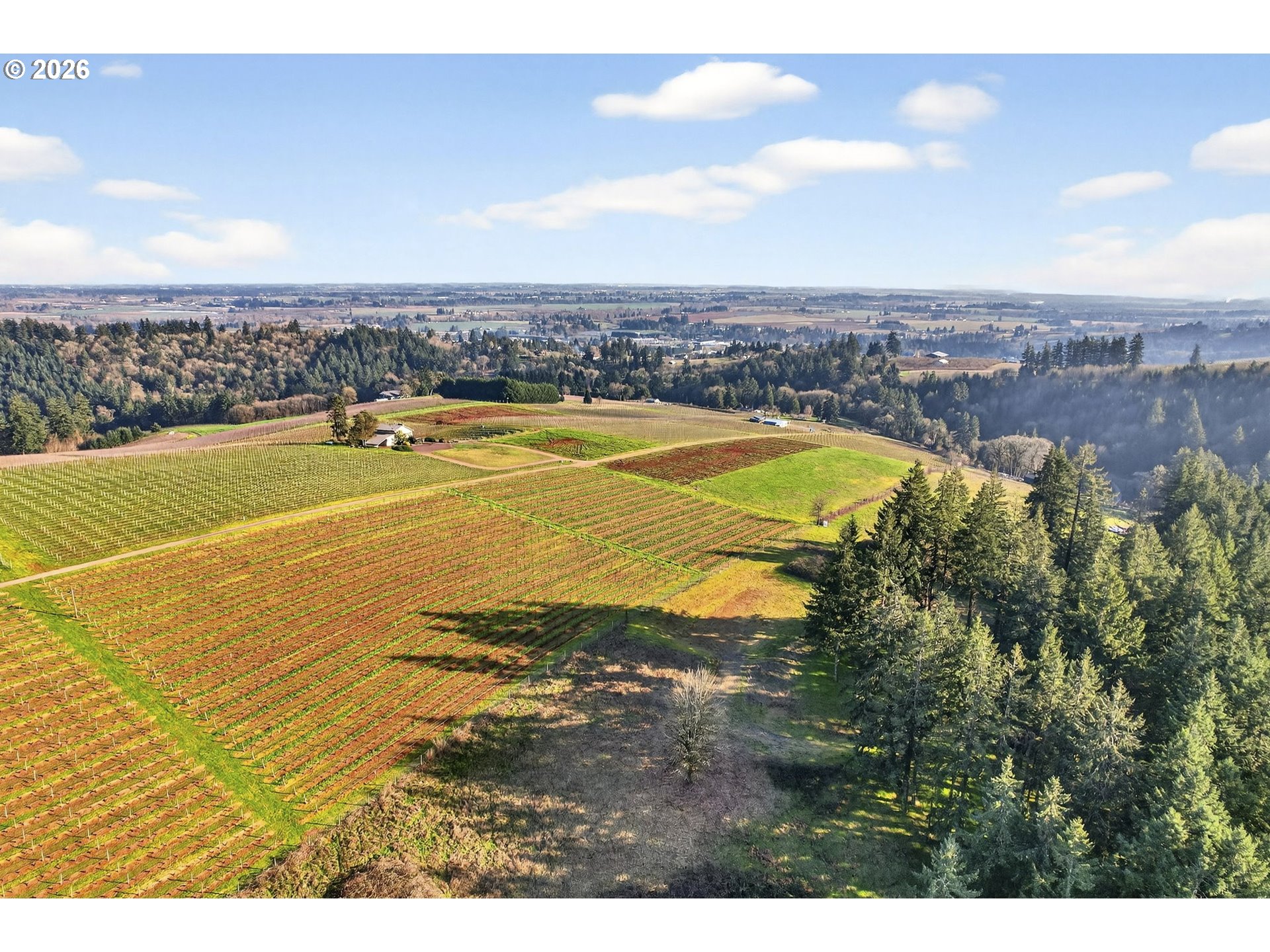 0 NE Fox LN, Dundee, OR, 97115