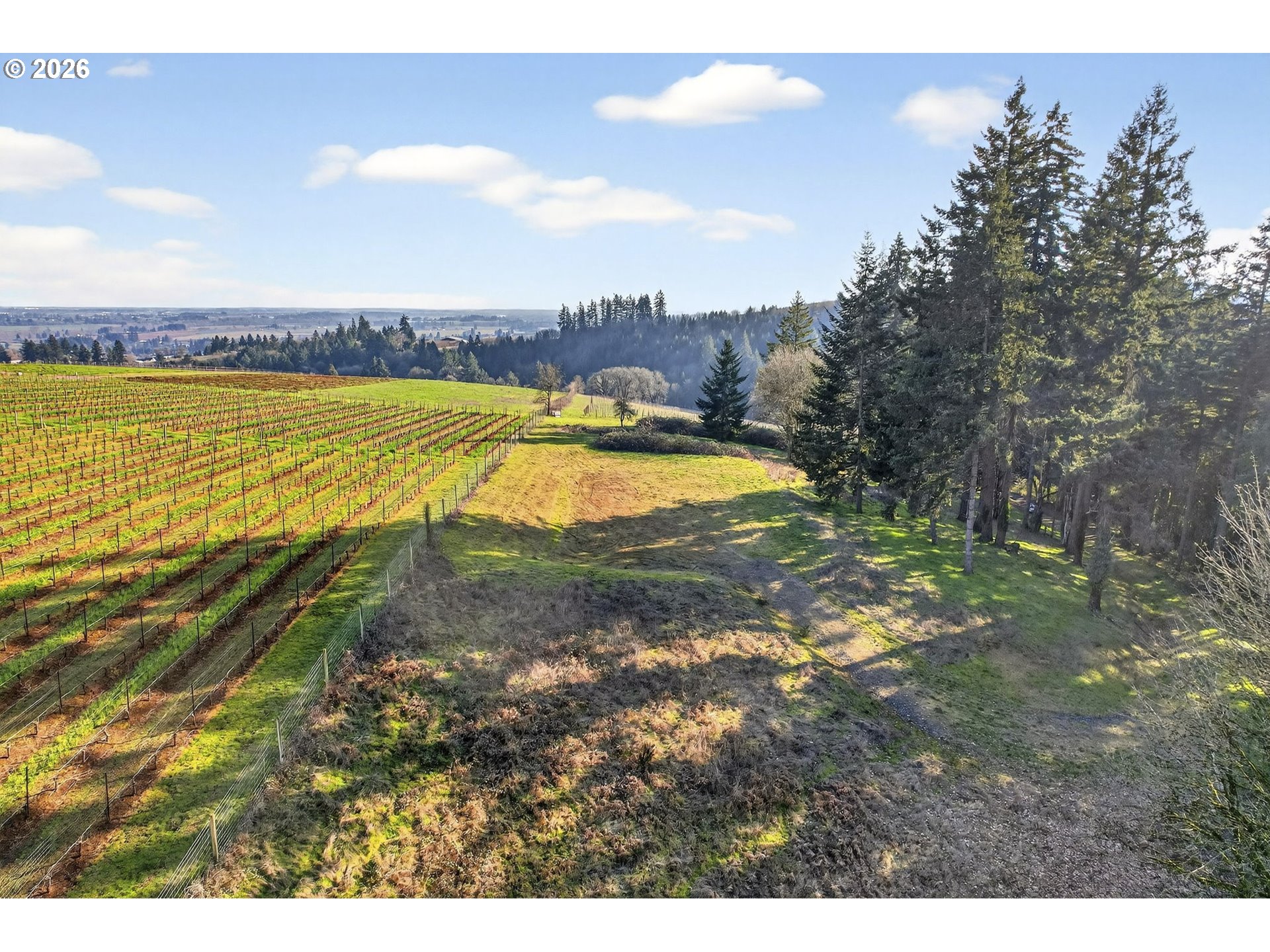 0 NE Fox LN, Dundee, OR, 97115