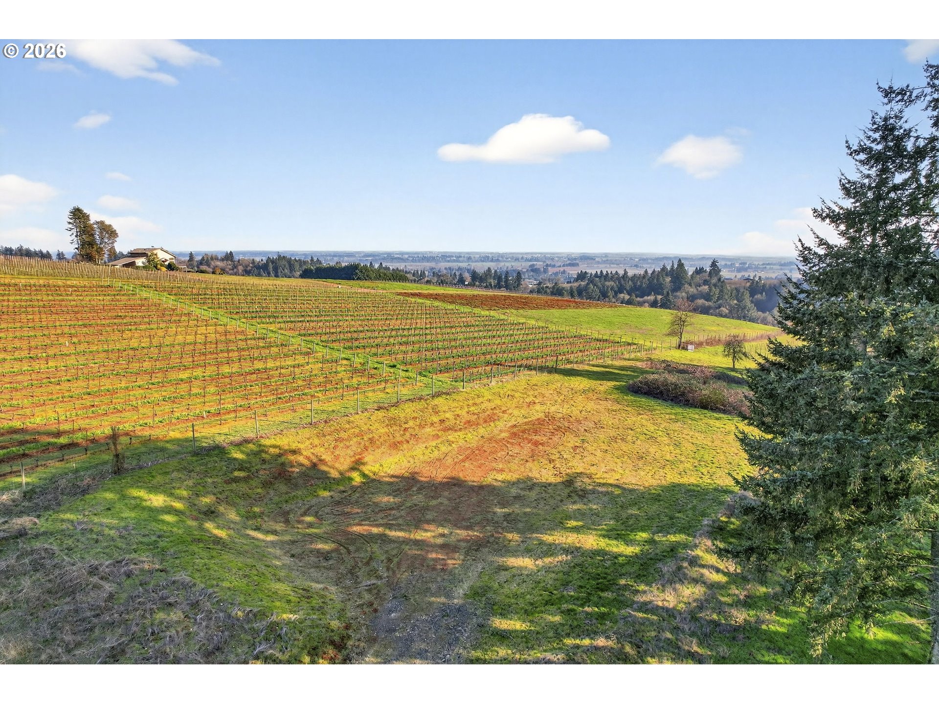 0 NE Fox LN, Dundee, OR, 97115