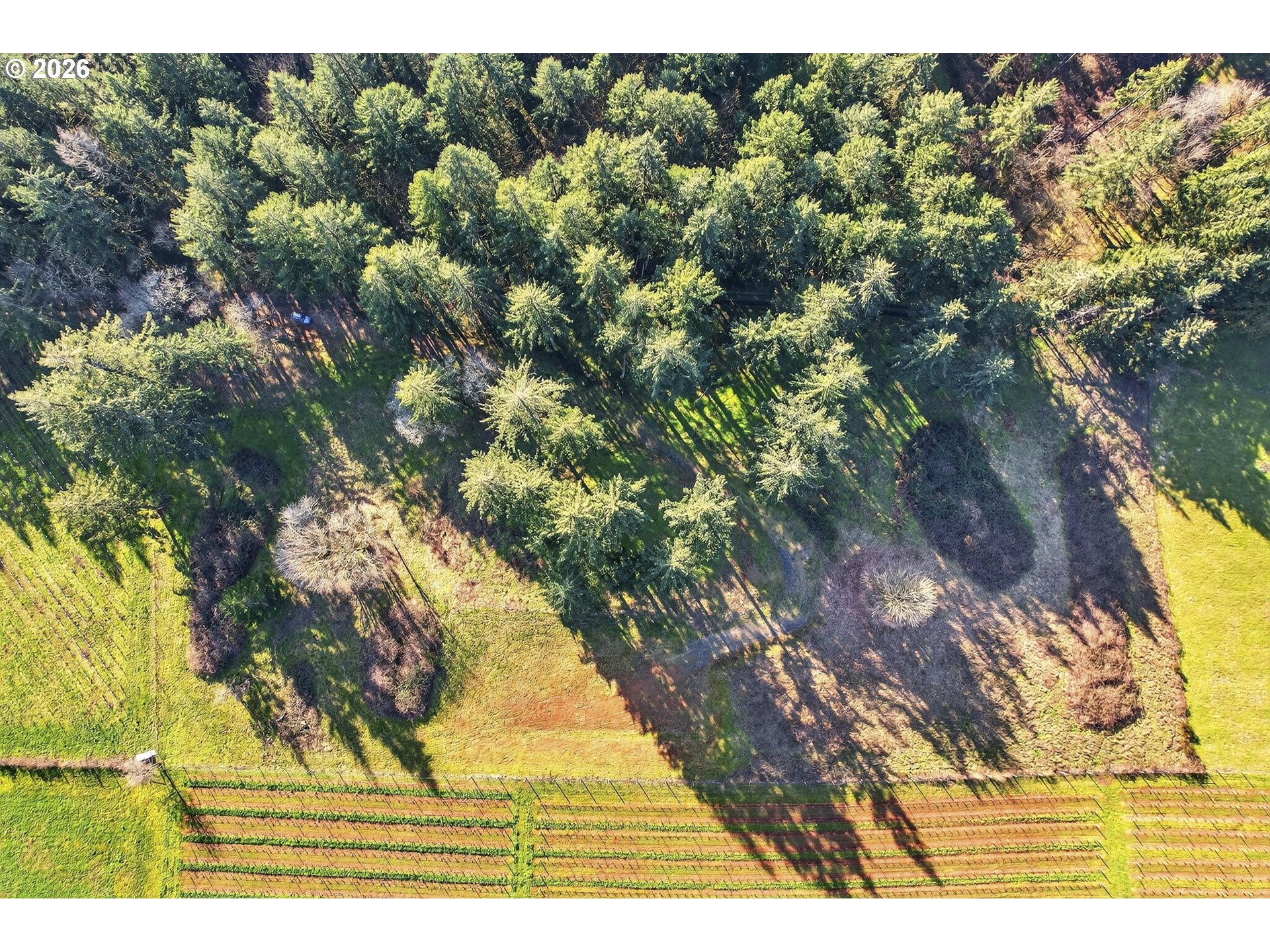 0 NE Fox LN, Dundee, OR, 97115