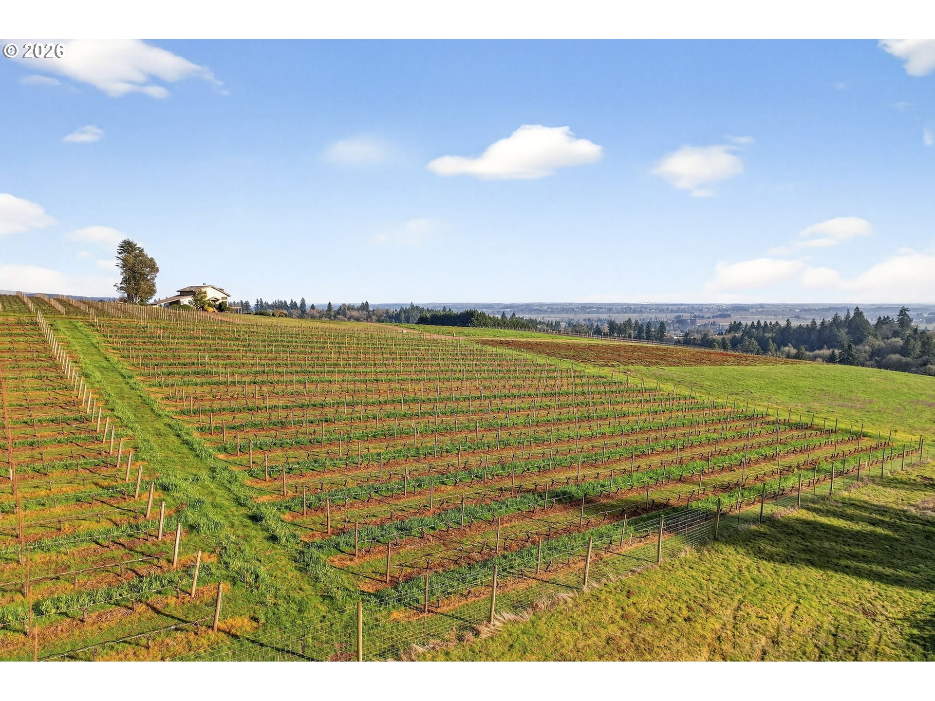 0 NE Fox LN, Dundee, OR, 97115