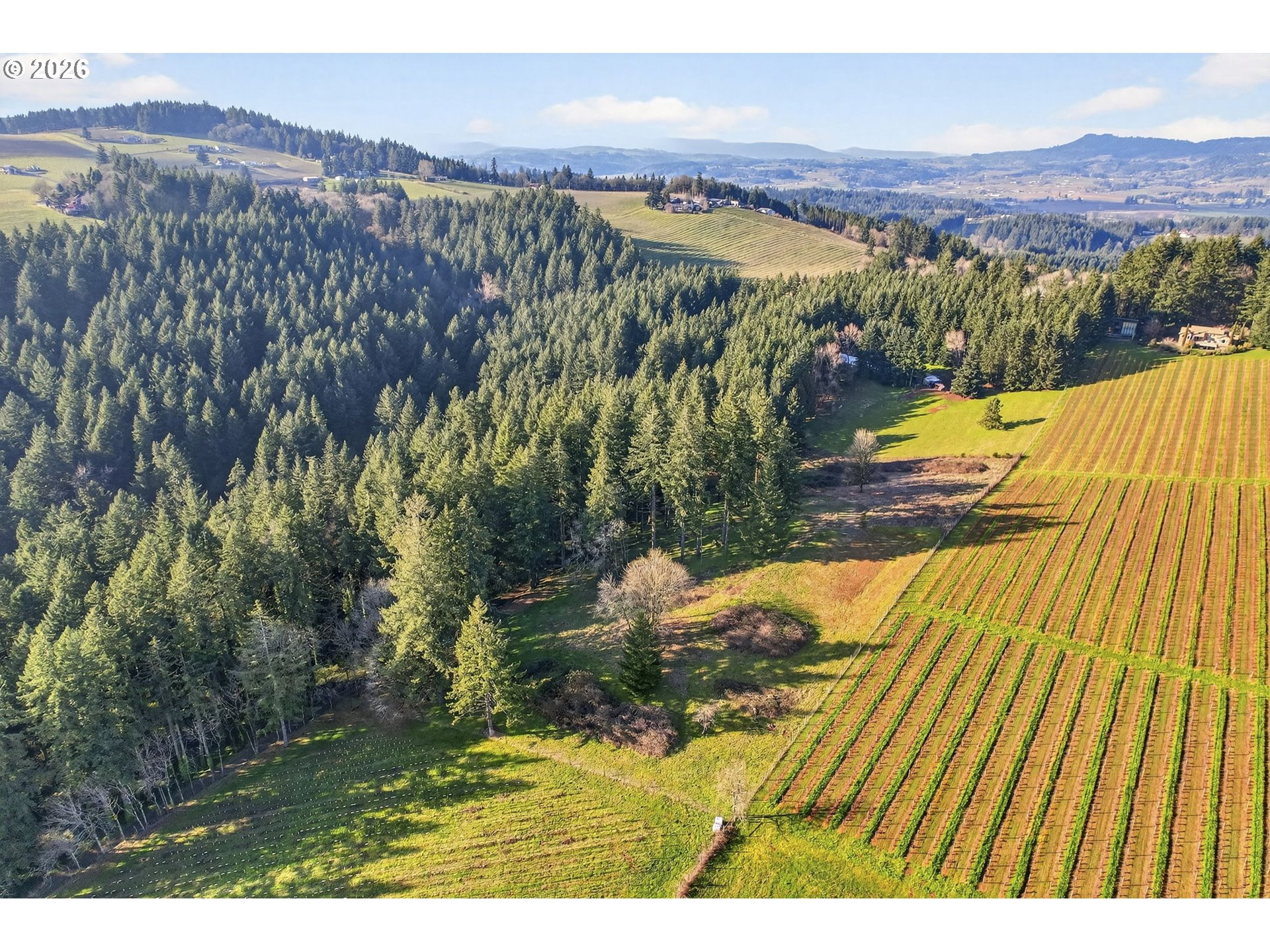 0 NE Fox LN, Dundee, OR, 97115