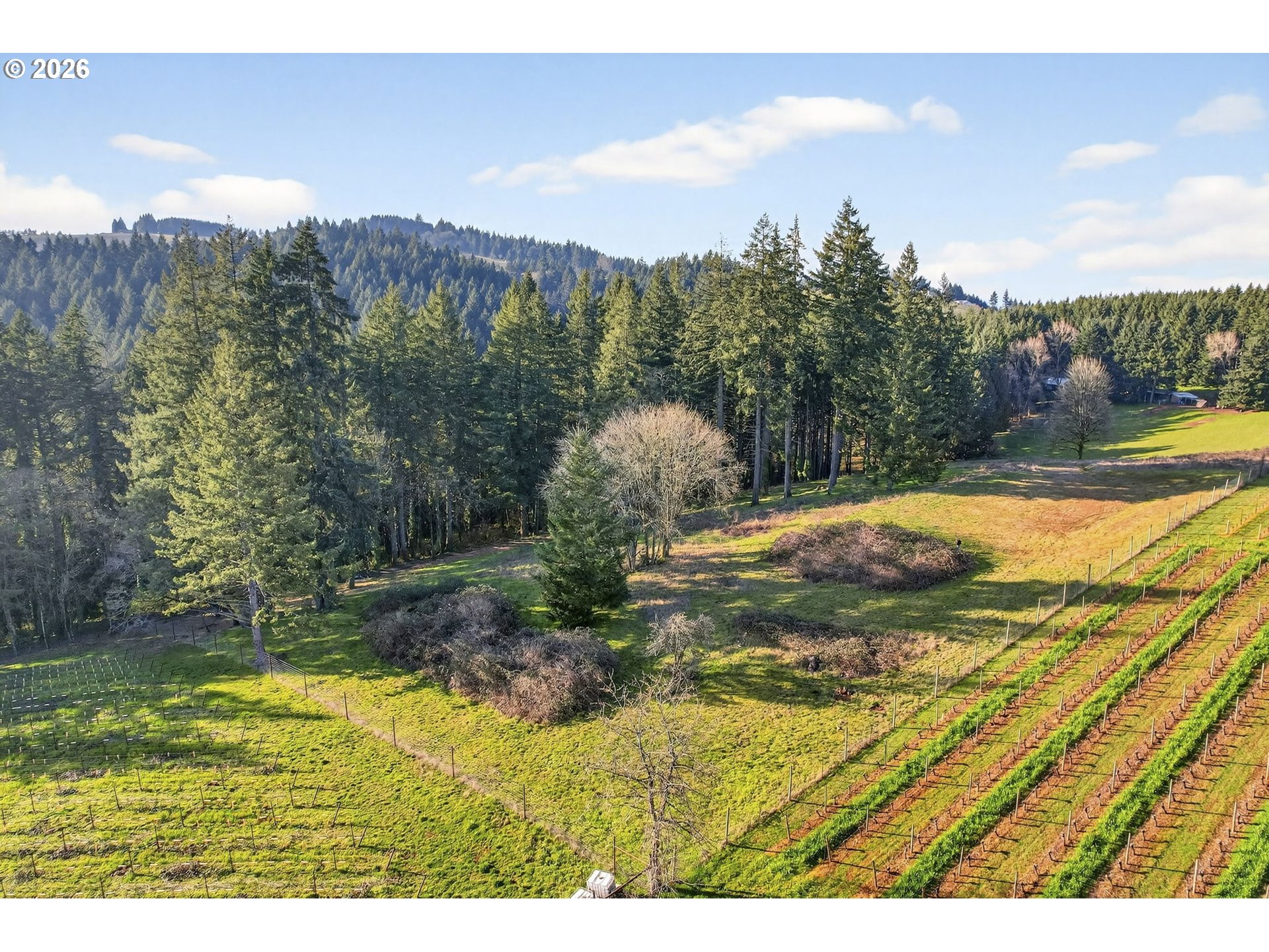 0 NE Fox LN, Dundee, OR, 97115