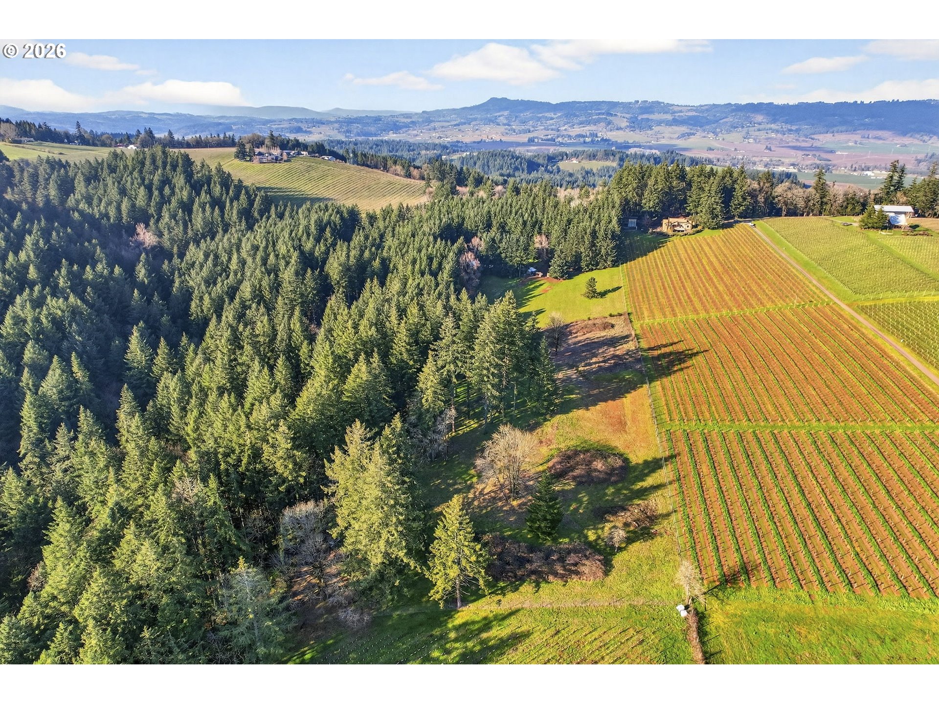 0 NE Fox LN, Dundee, OR, 97115