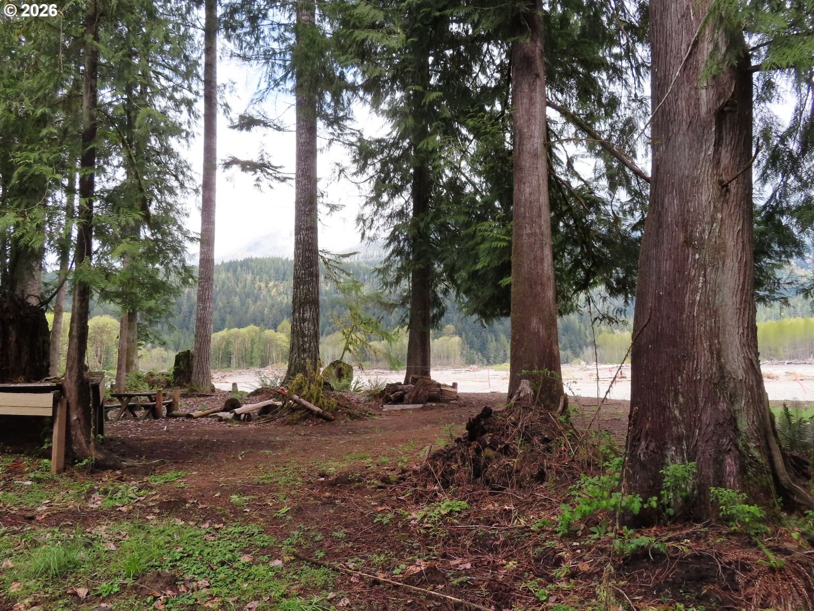 Search Homes for Sale