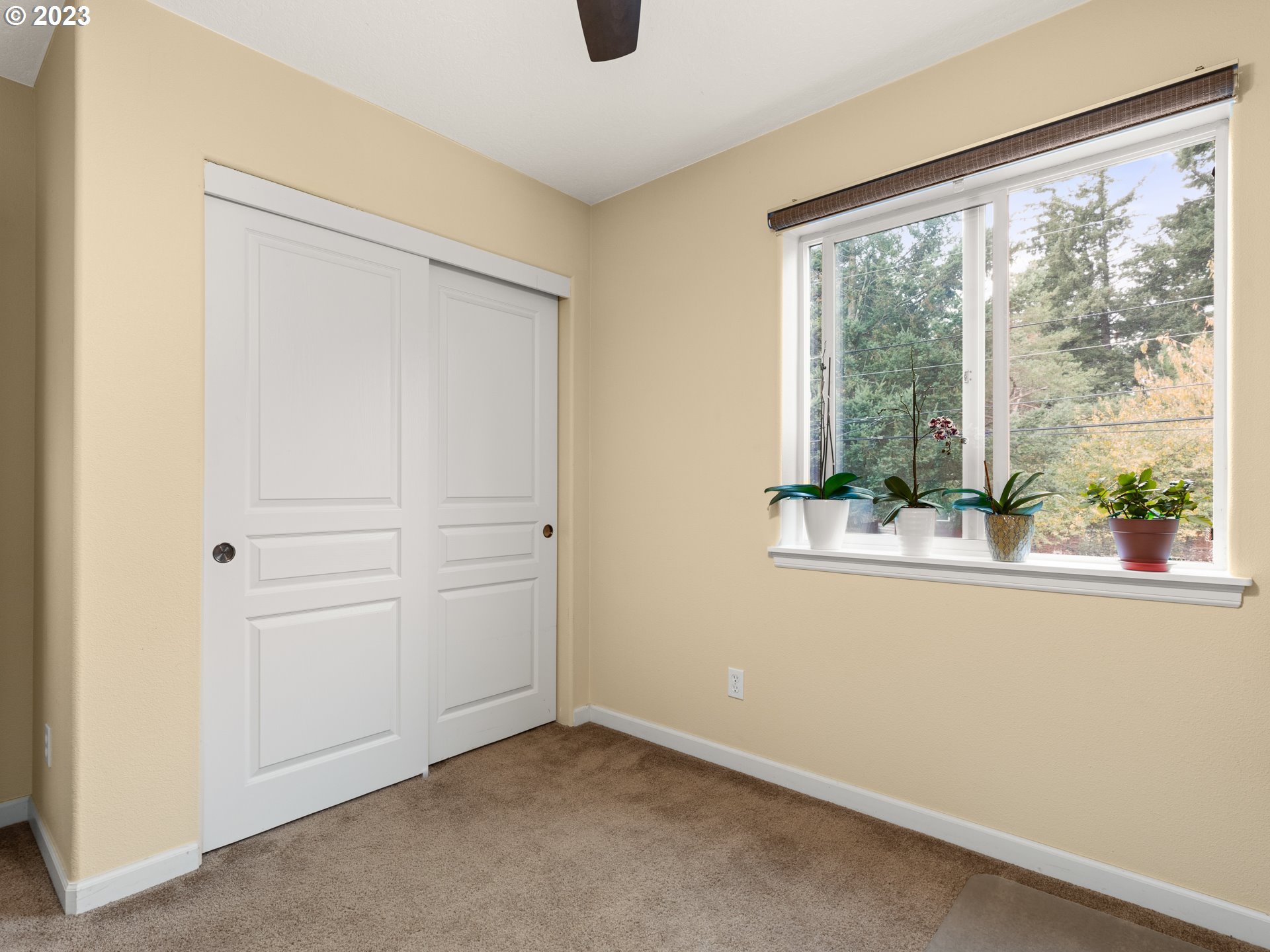 Photo #26: 109926721 Listing: Photo #26
