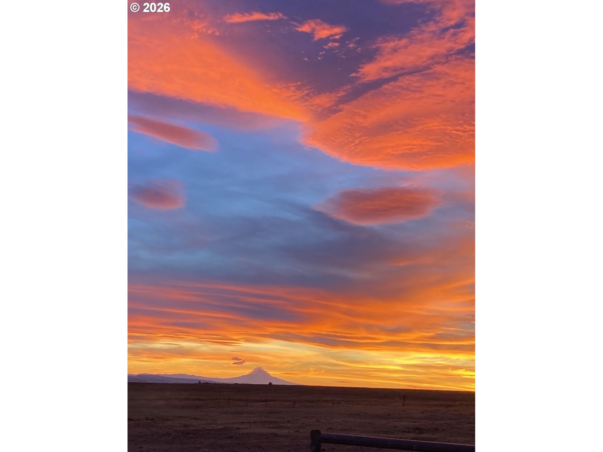 Search Homes for Sale