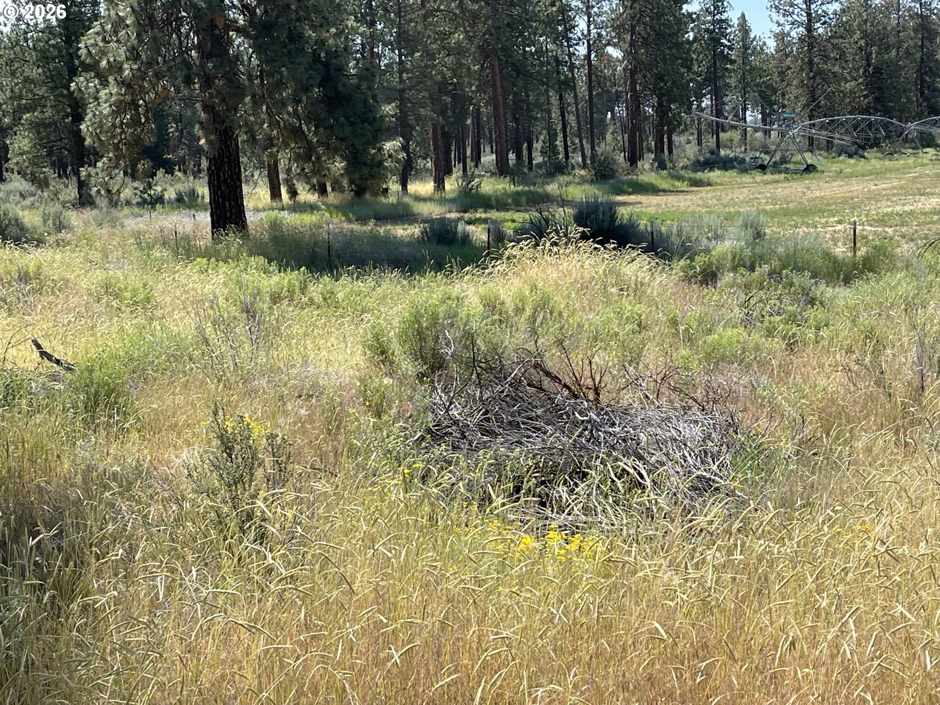 S. Chiloquin Road UNIT 100, Chiloquin, OR, 97624