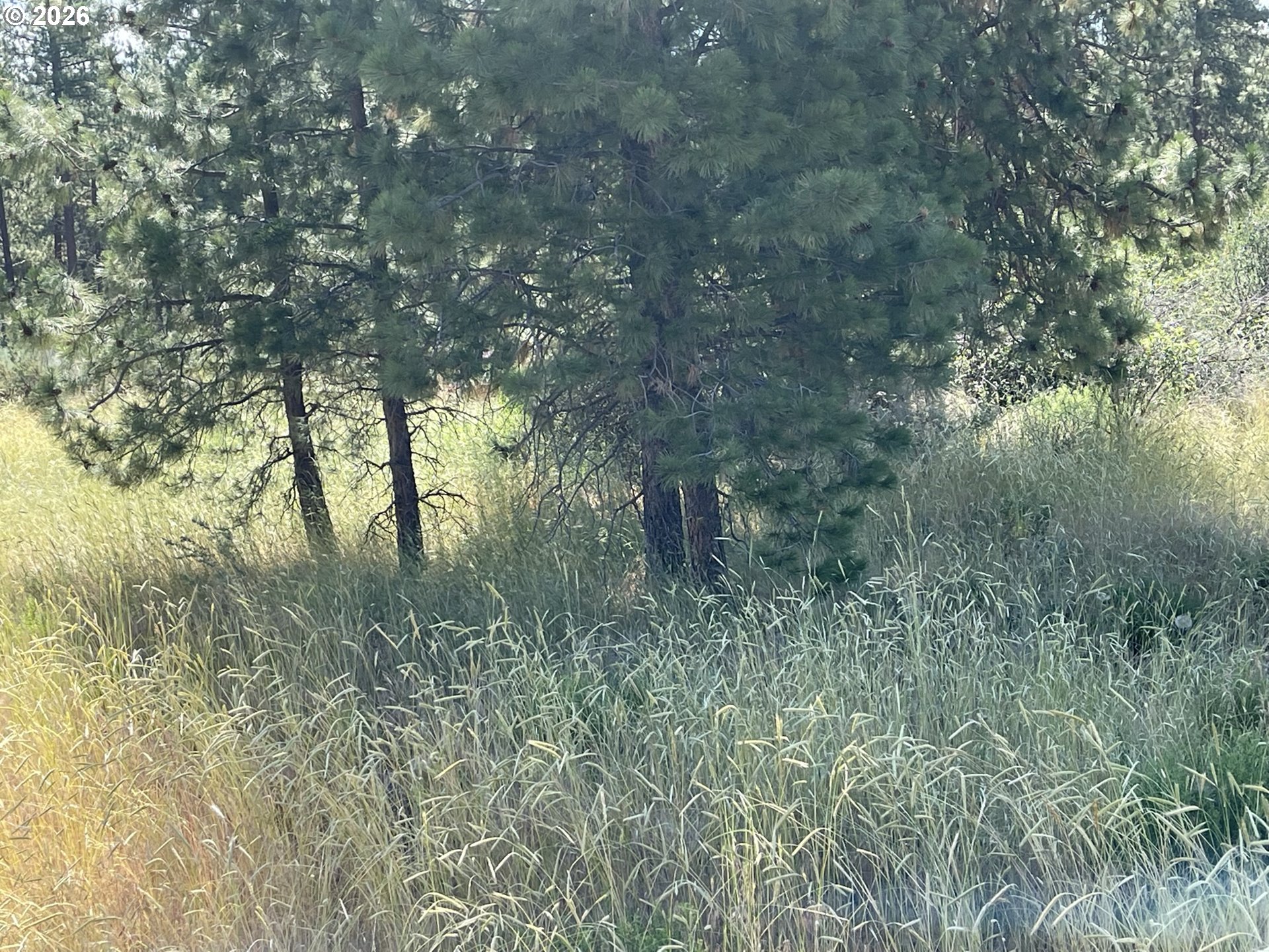 S. Chiloquin Road UNIT 100, Chiloquin, OR, 97624