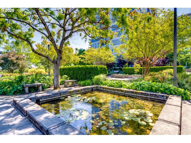 Photo #8: 113684506 Listing: Photo #8