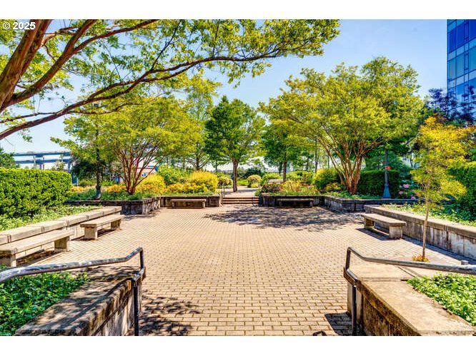 Photo #9: 113684506 Listing: Photo #9