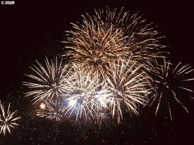 Photo #13: 113684506 Listing: Photo #13