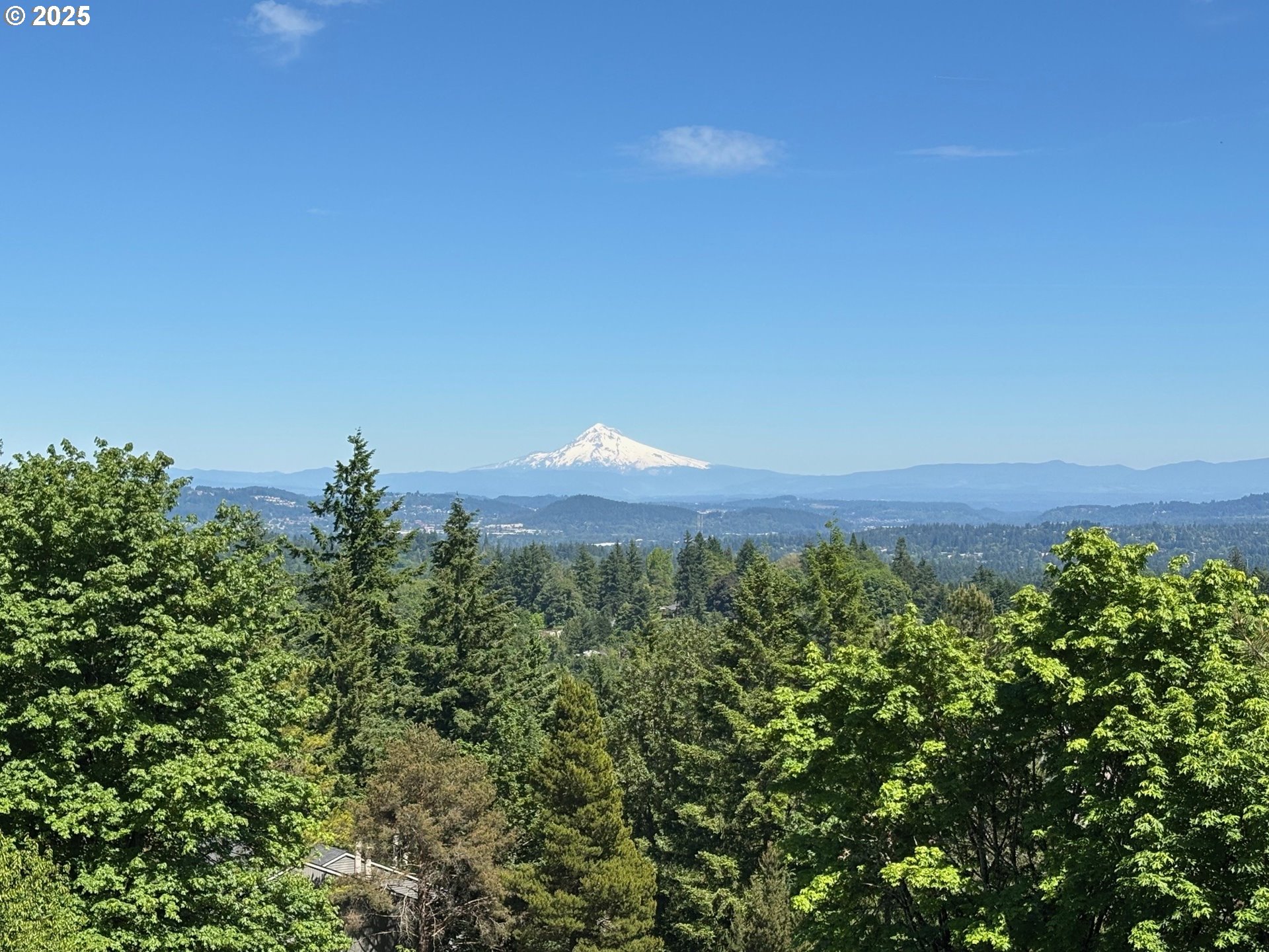 Photo #3: 115109478 Listing 