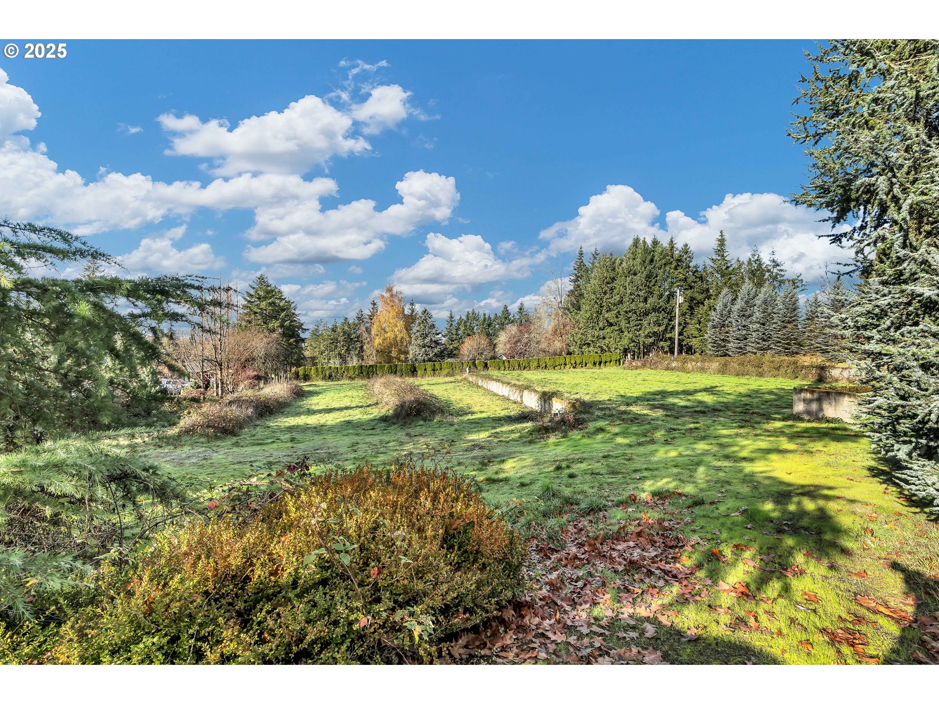 601 S PARK ST, Carlton, OR, 97111