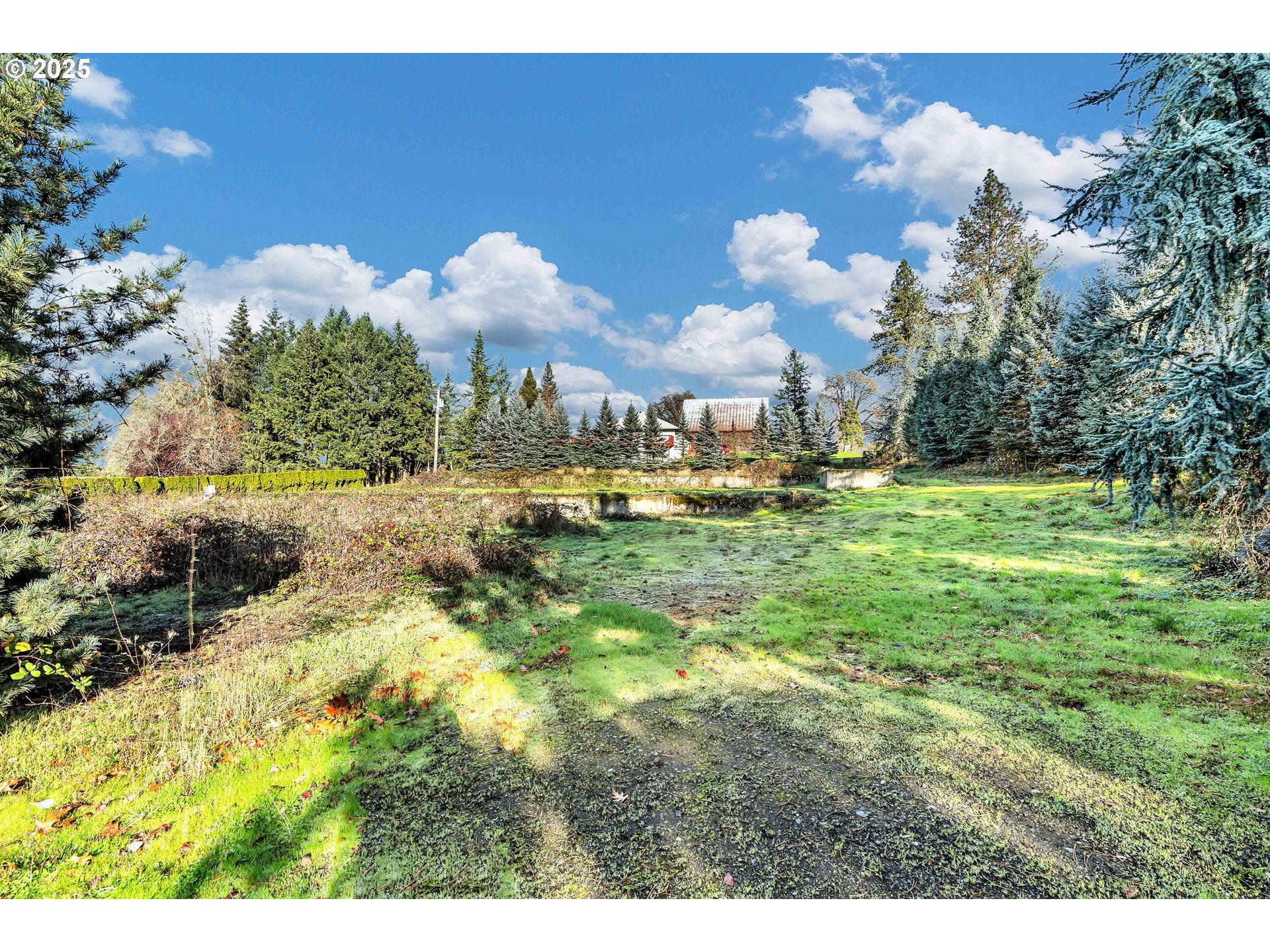 601 S PARK ST, Carlton, OR, 97111