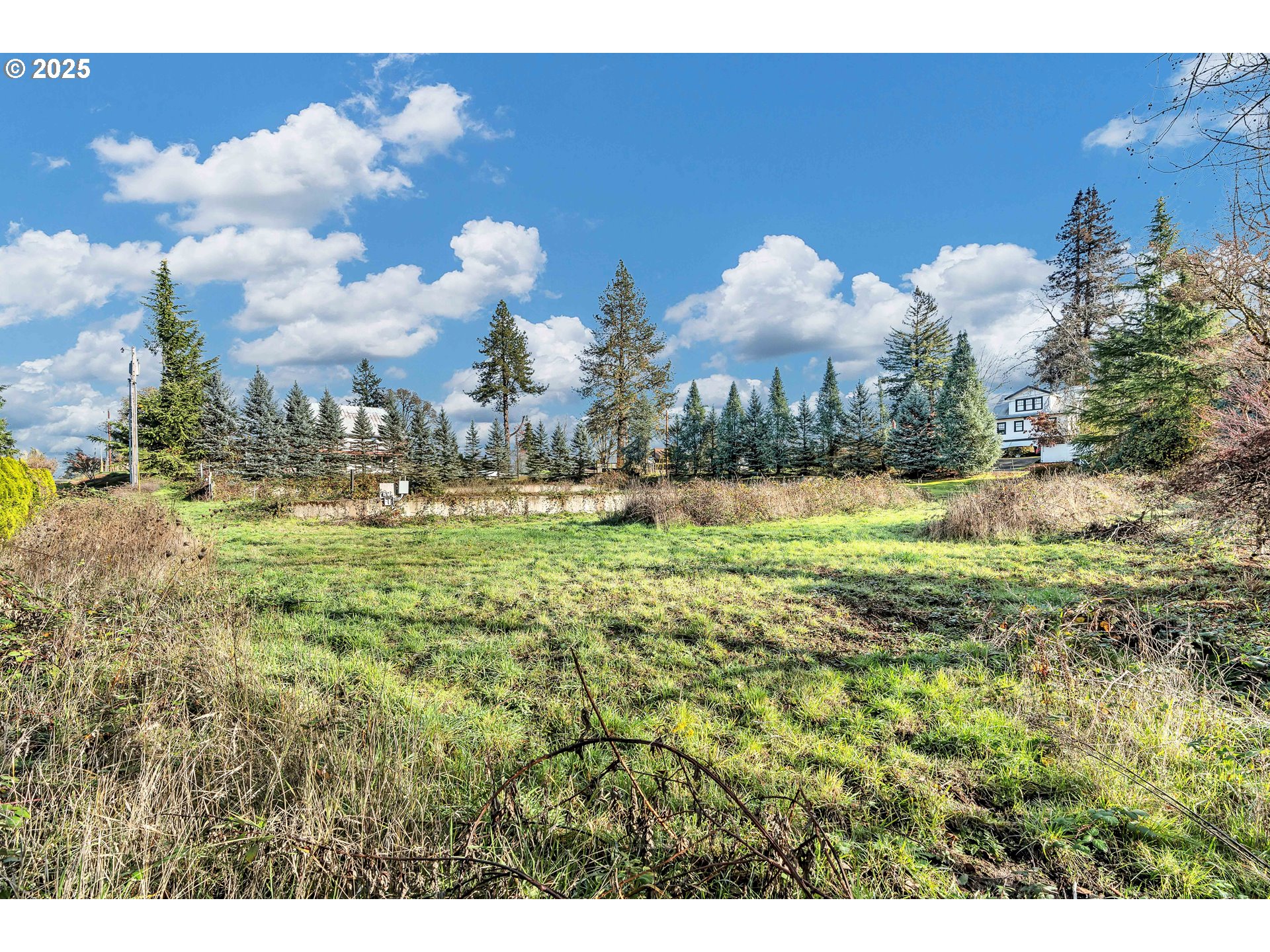 601 S PARK ST, Carlton, OR, 97111