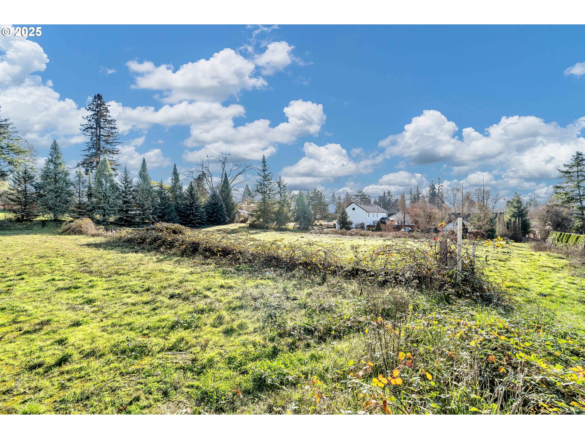 601 S PARK ST, Carlton, OR, 97111