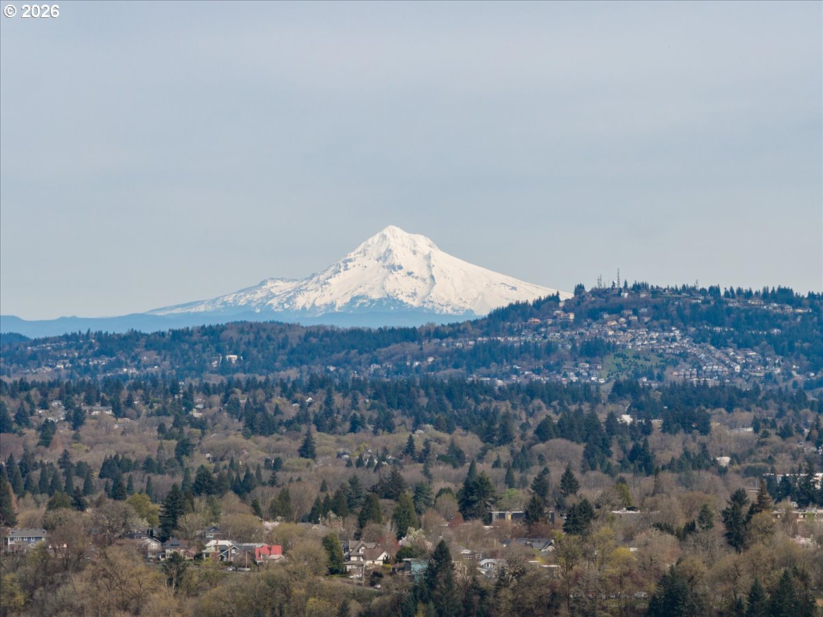 Photo #4: 116723875 Listing: Photo #4