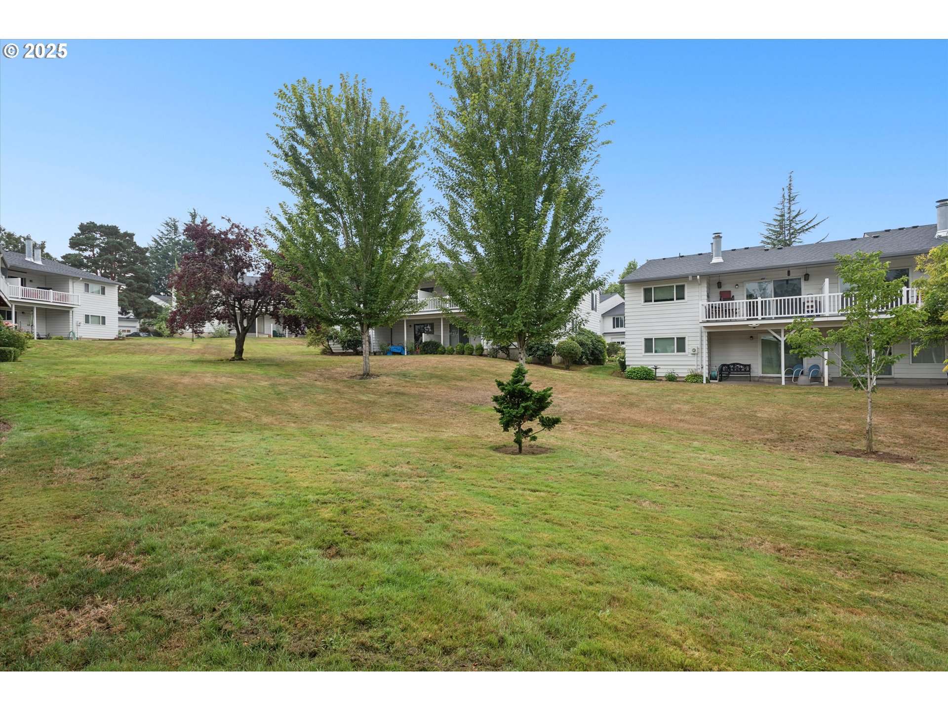 Photo #34: 117041252 Listing: Photo #34