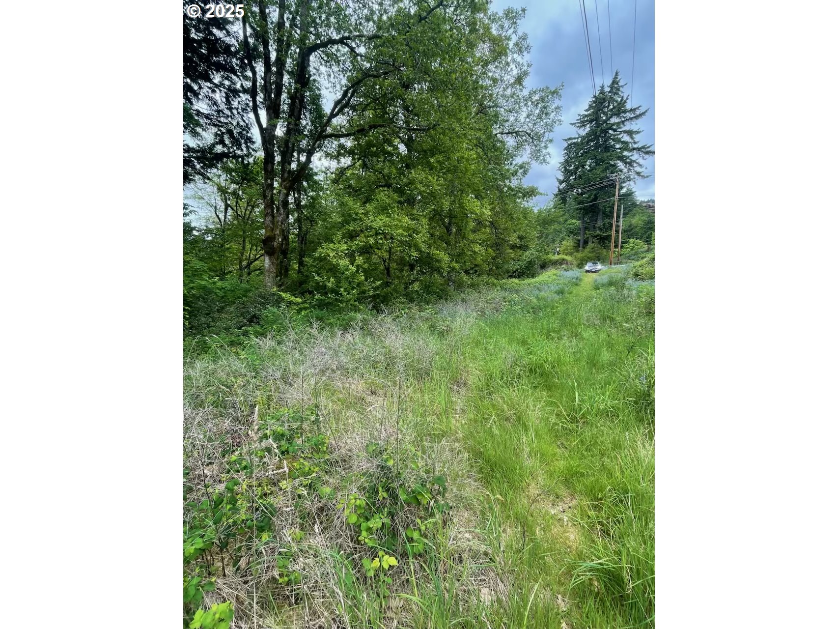 411 NE 1ST, Oakland, OR, 97462