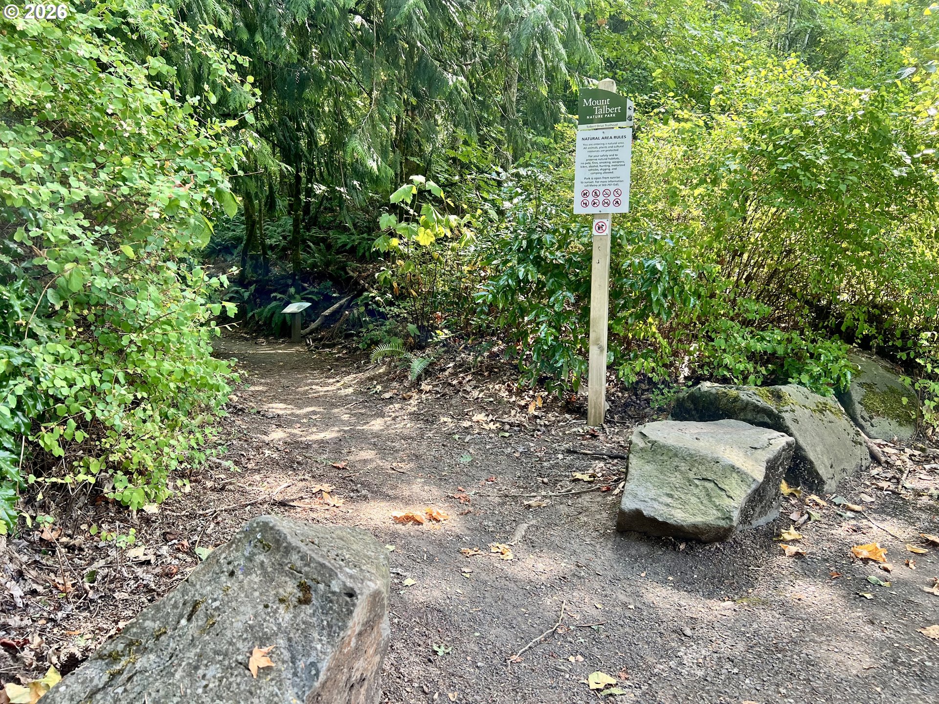 Photo #18: 119497908 Listing: Photo #18