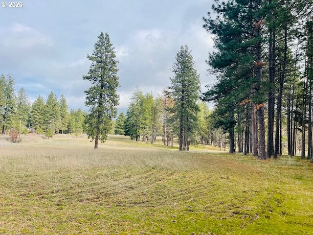 Search Homes for Sale