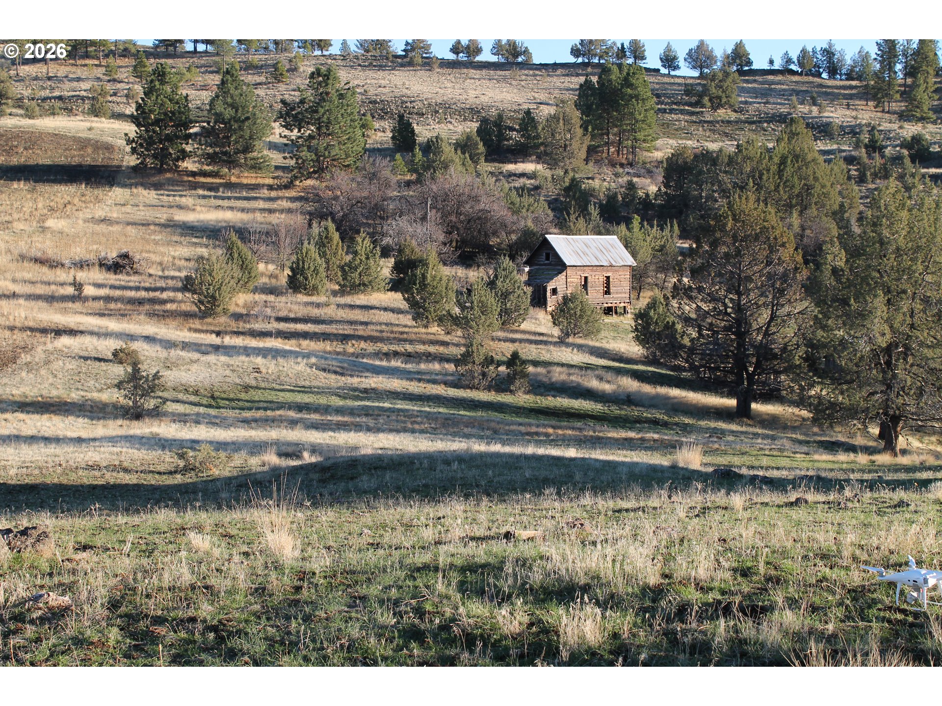 Search Homes for Sale