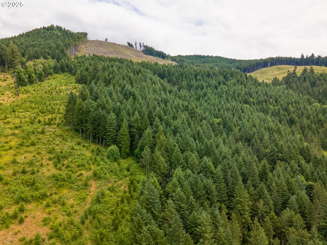 <p>Featured Properties</p>