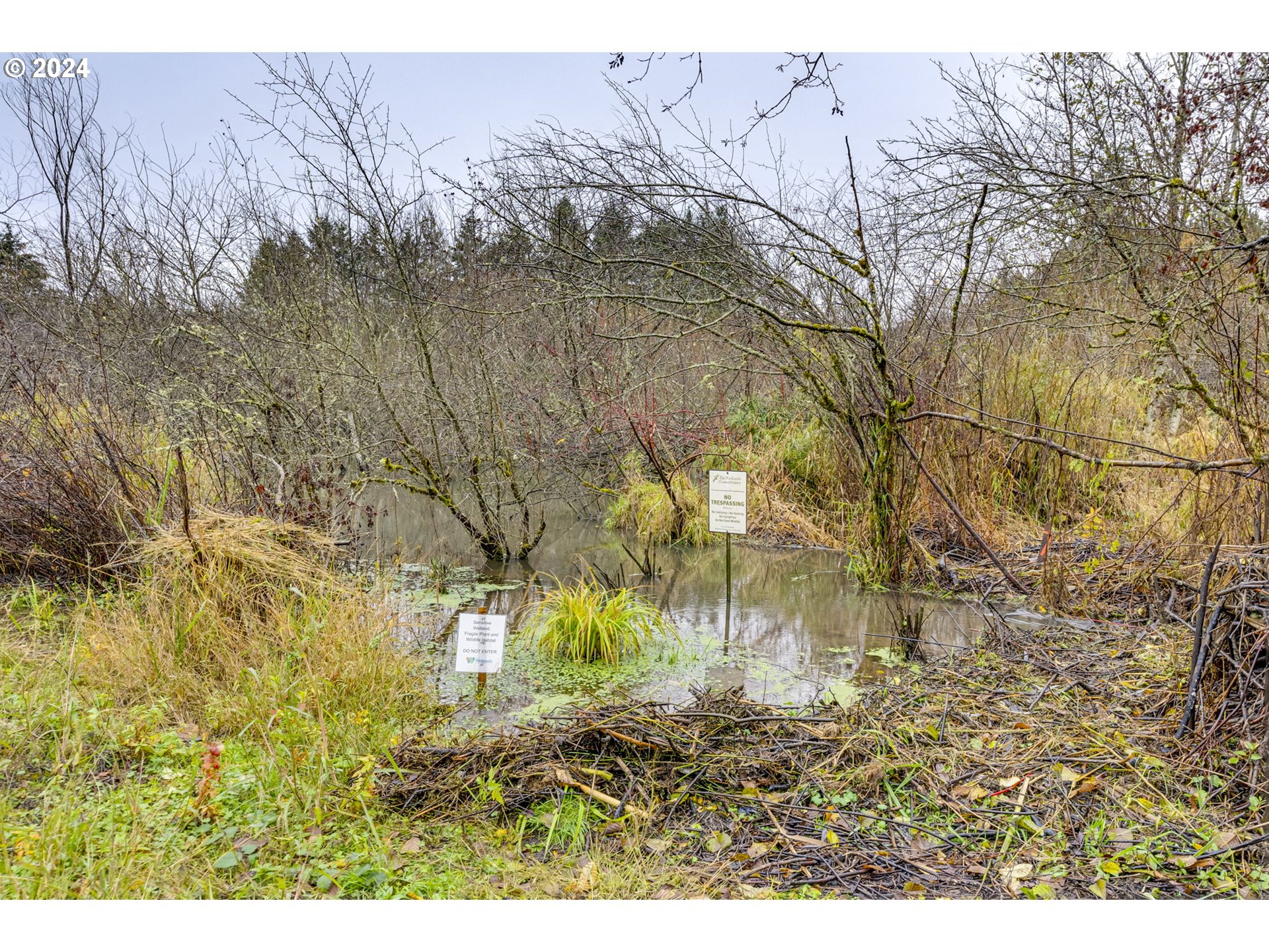 Photo #30: 123448396 Listing: Photo #30