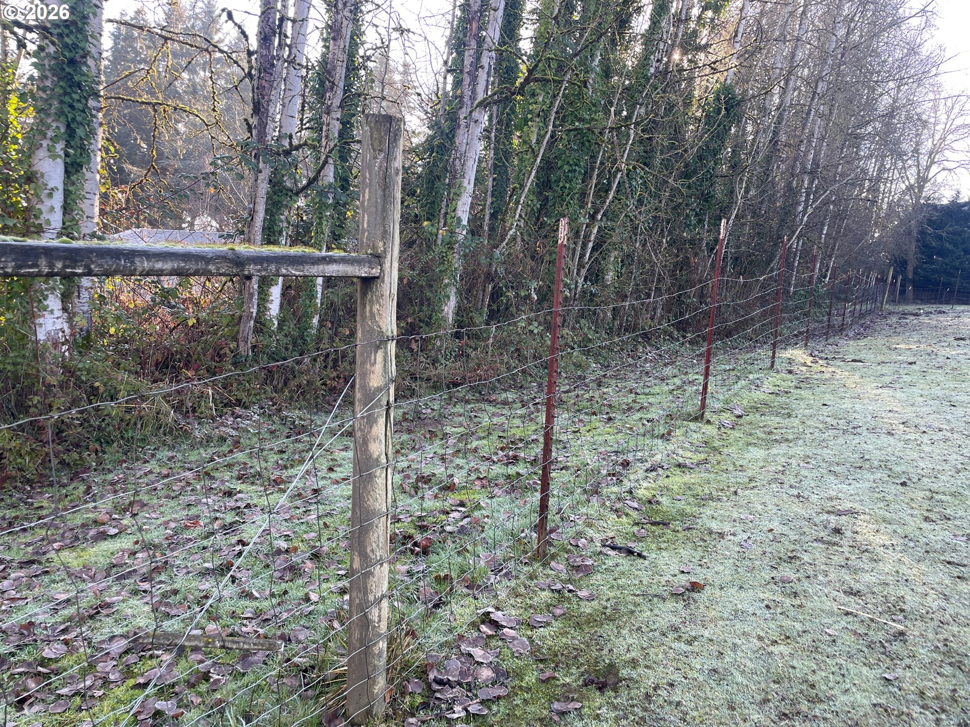 12101 NW 17TH AVE, Vancouver, ,Land,For Sale,17TH,0,123968532