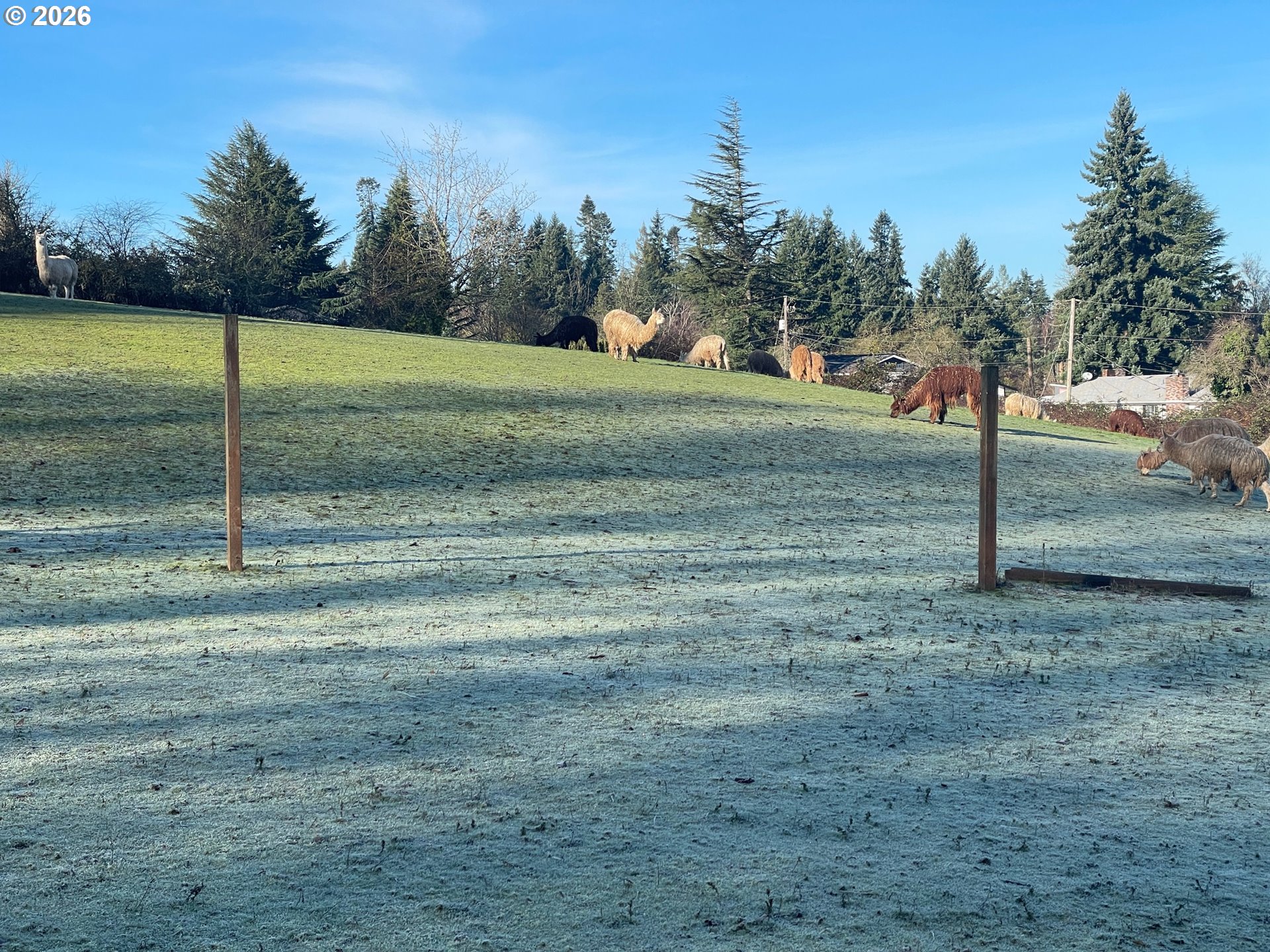 12101 NW 17TH AVE, Vancouver, ,Land,For Sale,17TH,0,123968532